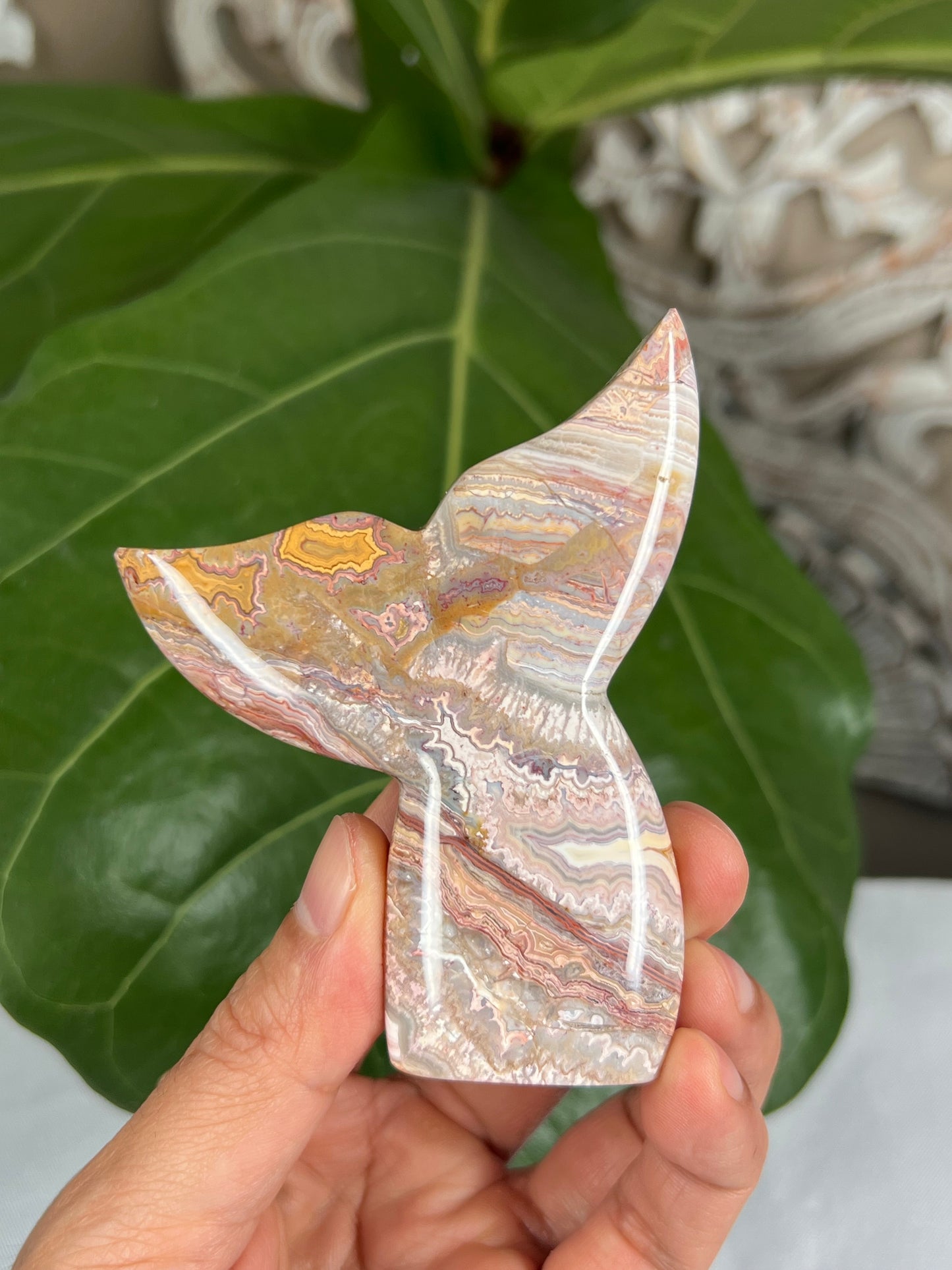 Crazy Lace Agate Tail