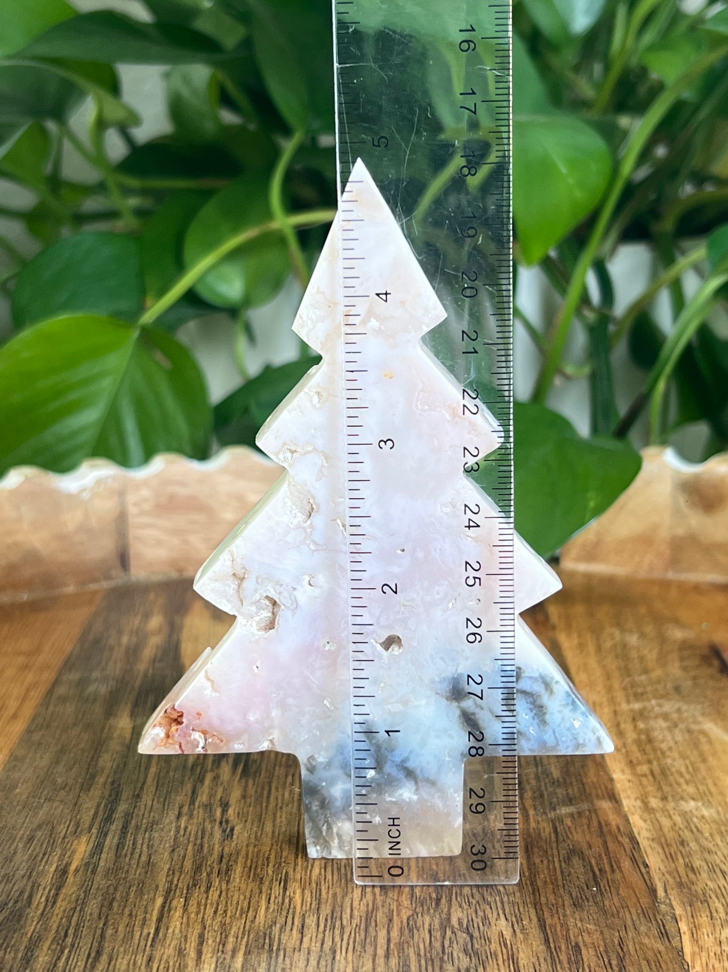 Rainbow Plume Agate Tree: DB