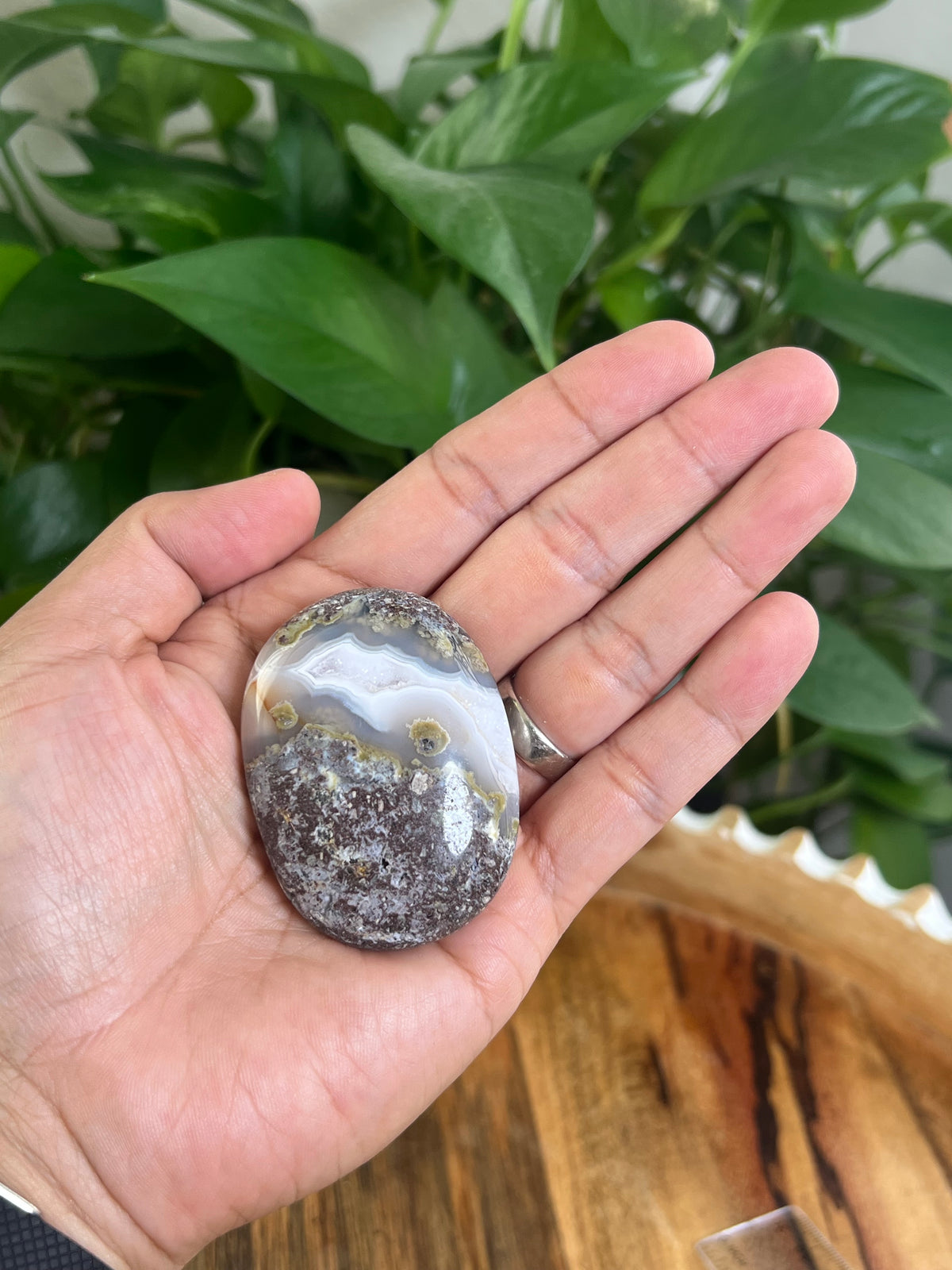 Scenic Moss Agate Palmstone: BB