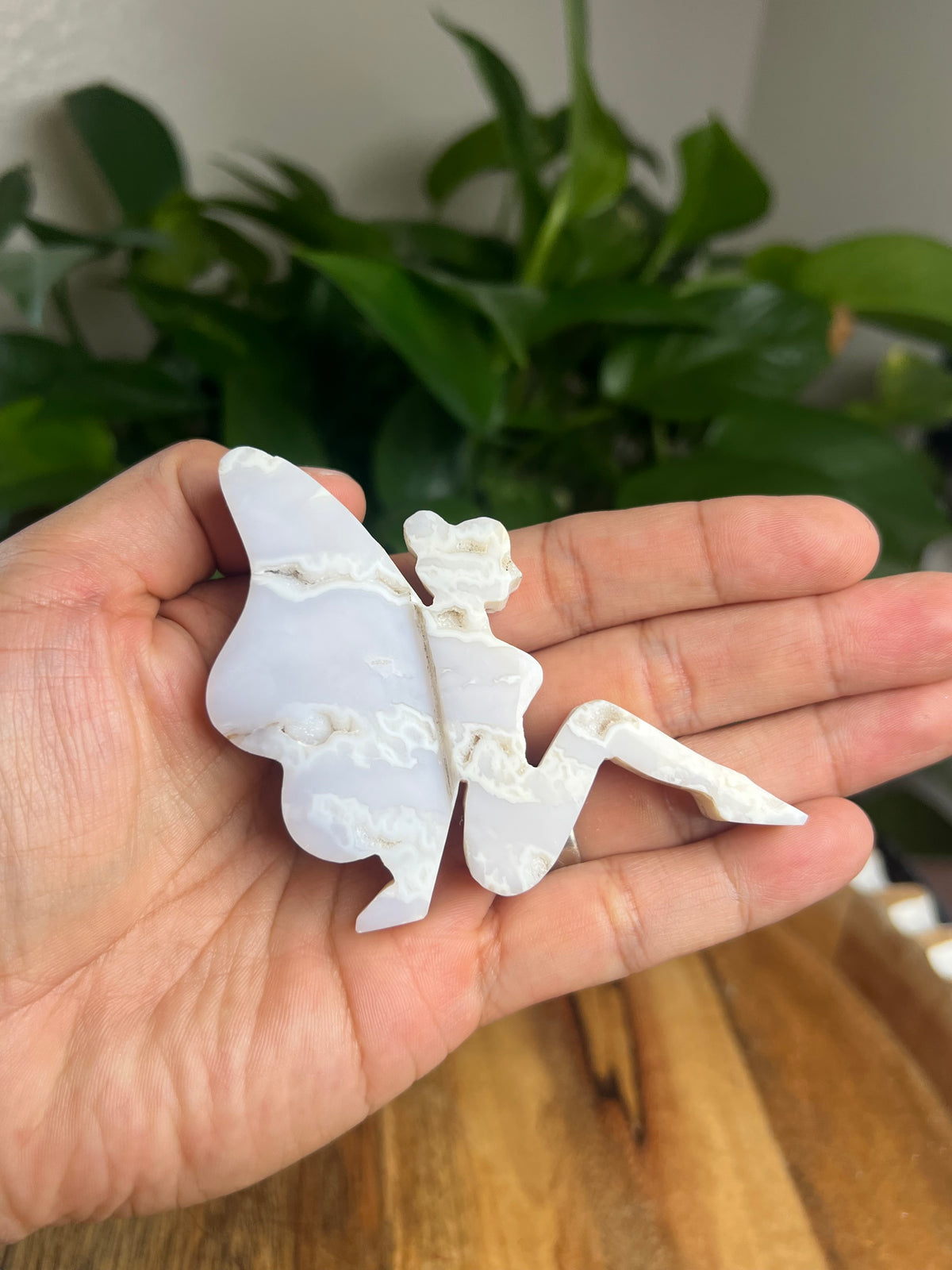 White Plume Agate Pixie Fairy: DZ