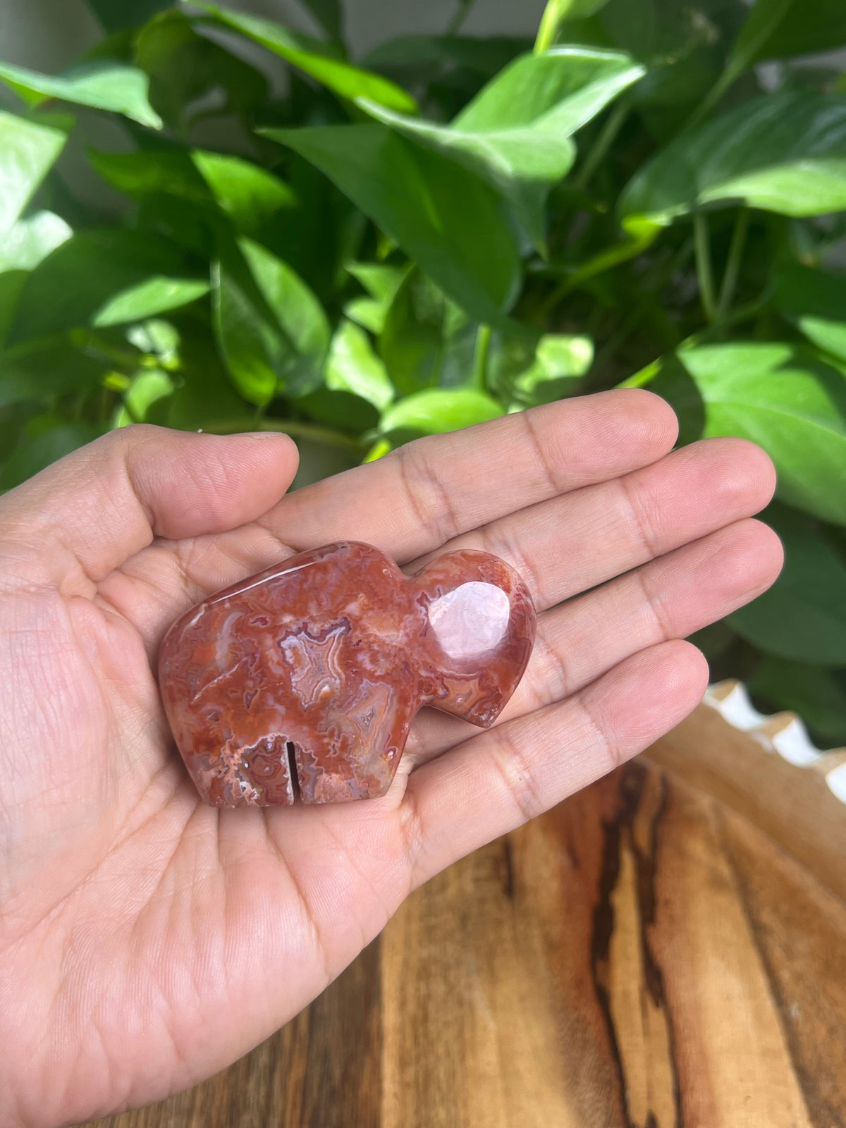 Carnelian Mini Buffalo: BA