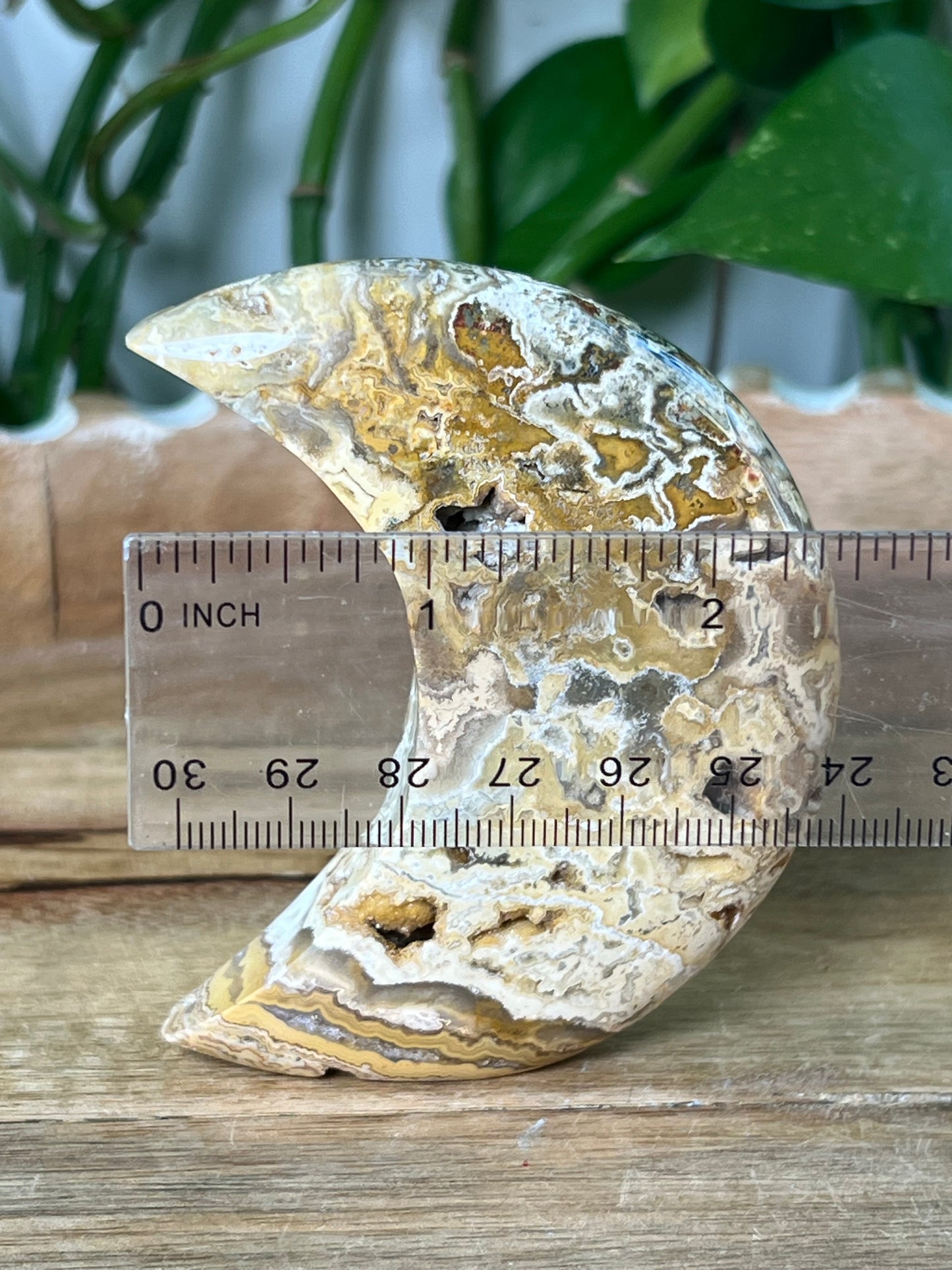 Crazy Lace Agate Moon
