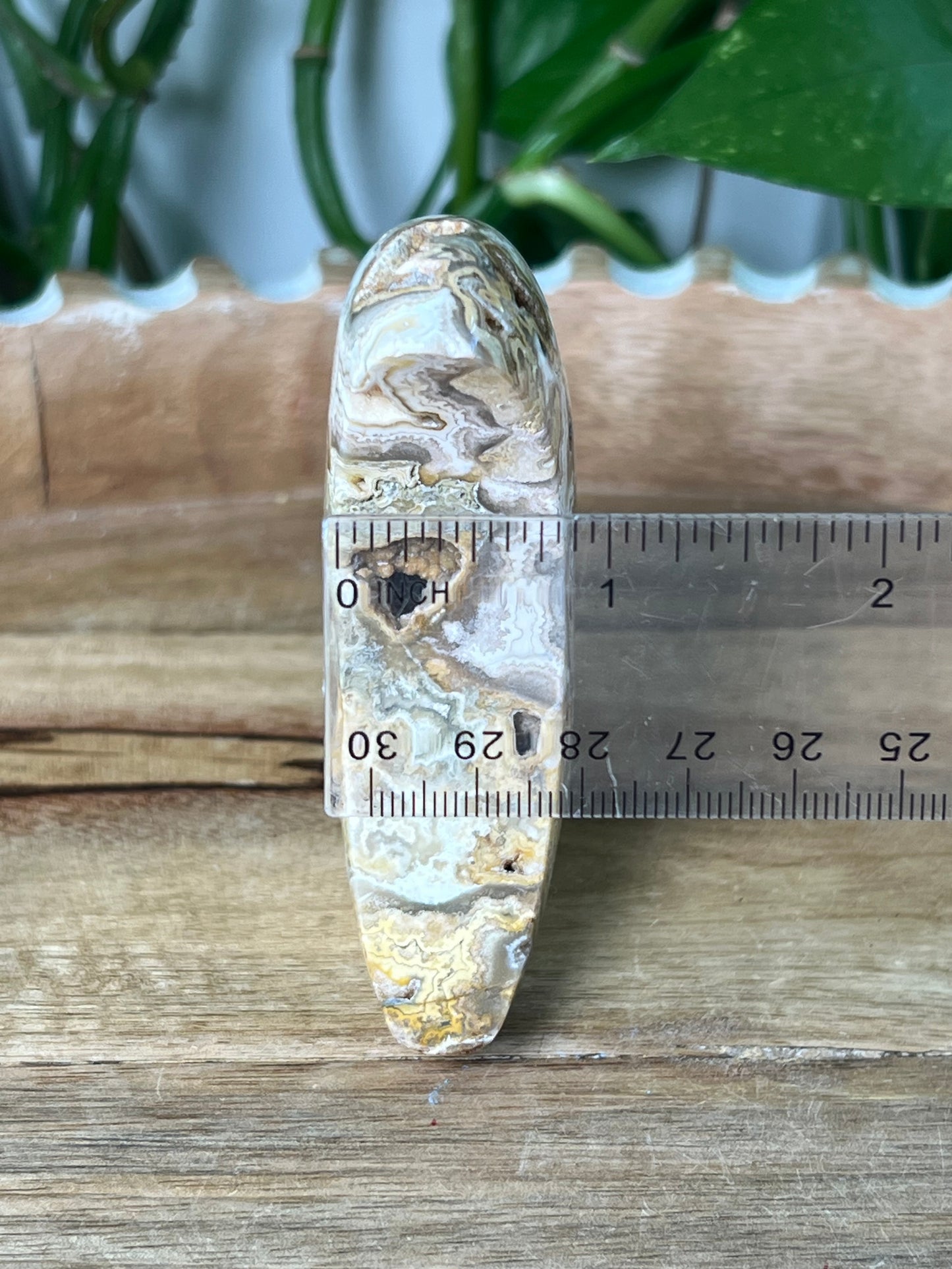 Crazy Lace Agate Moon