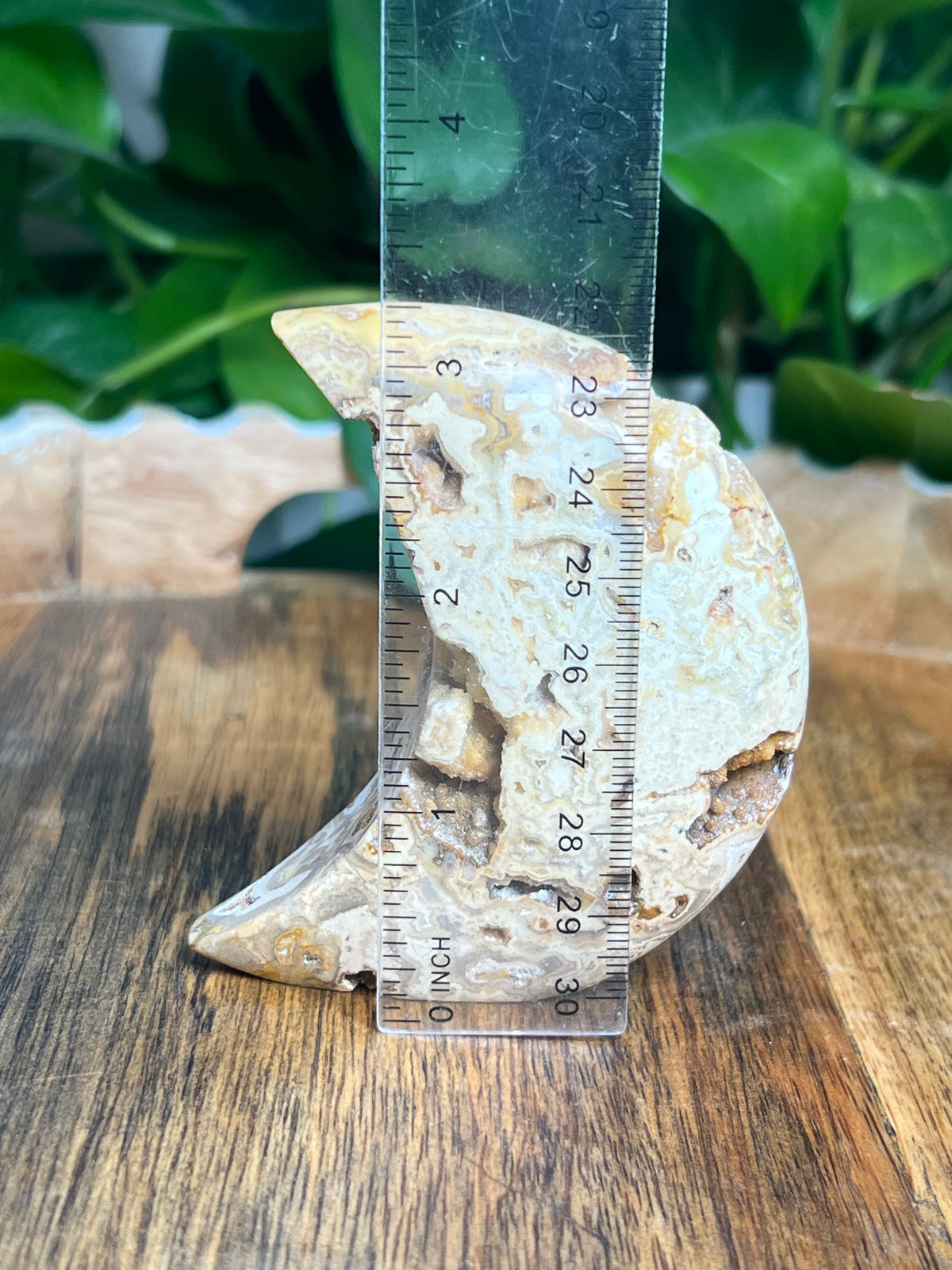 Crazy Lace Agate Self Standing Moon: CE