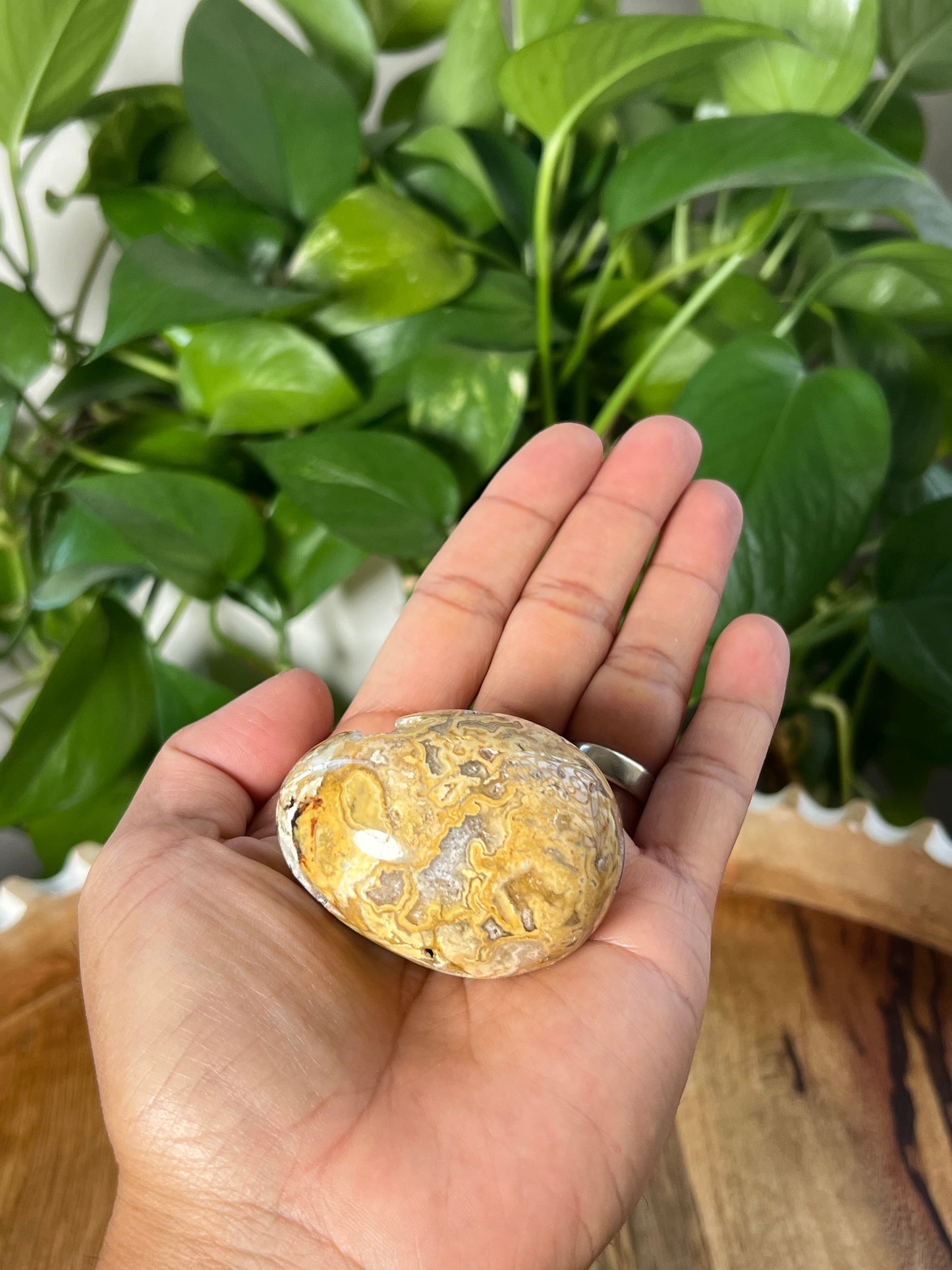 Crazy Lace Agate Egg