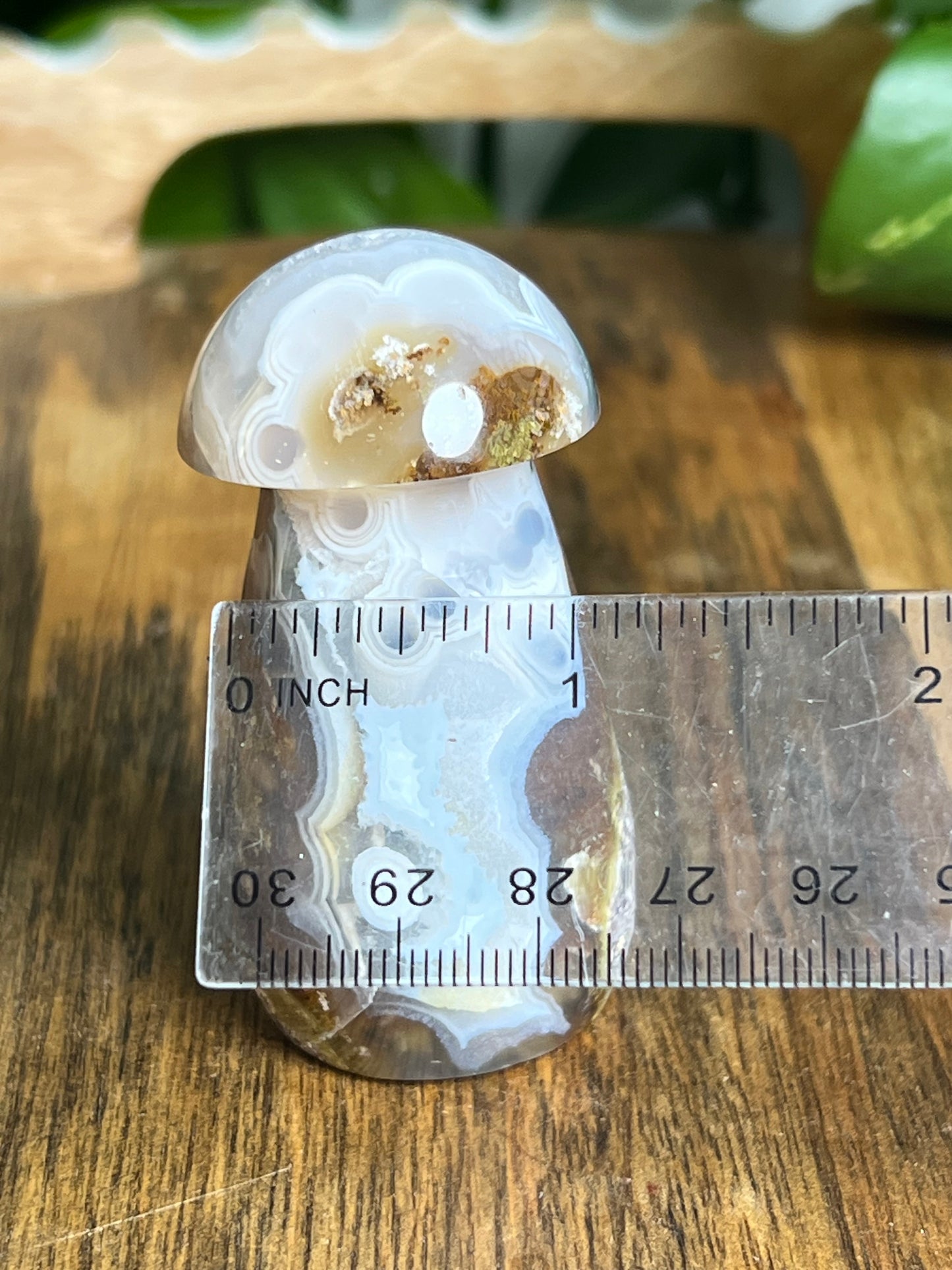 Scenic Moss Agate Mushroom
