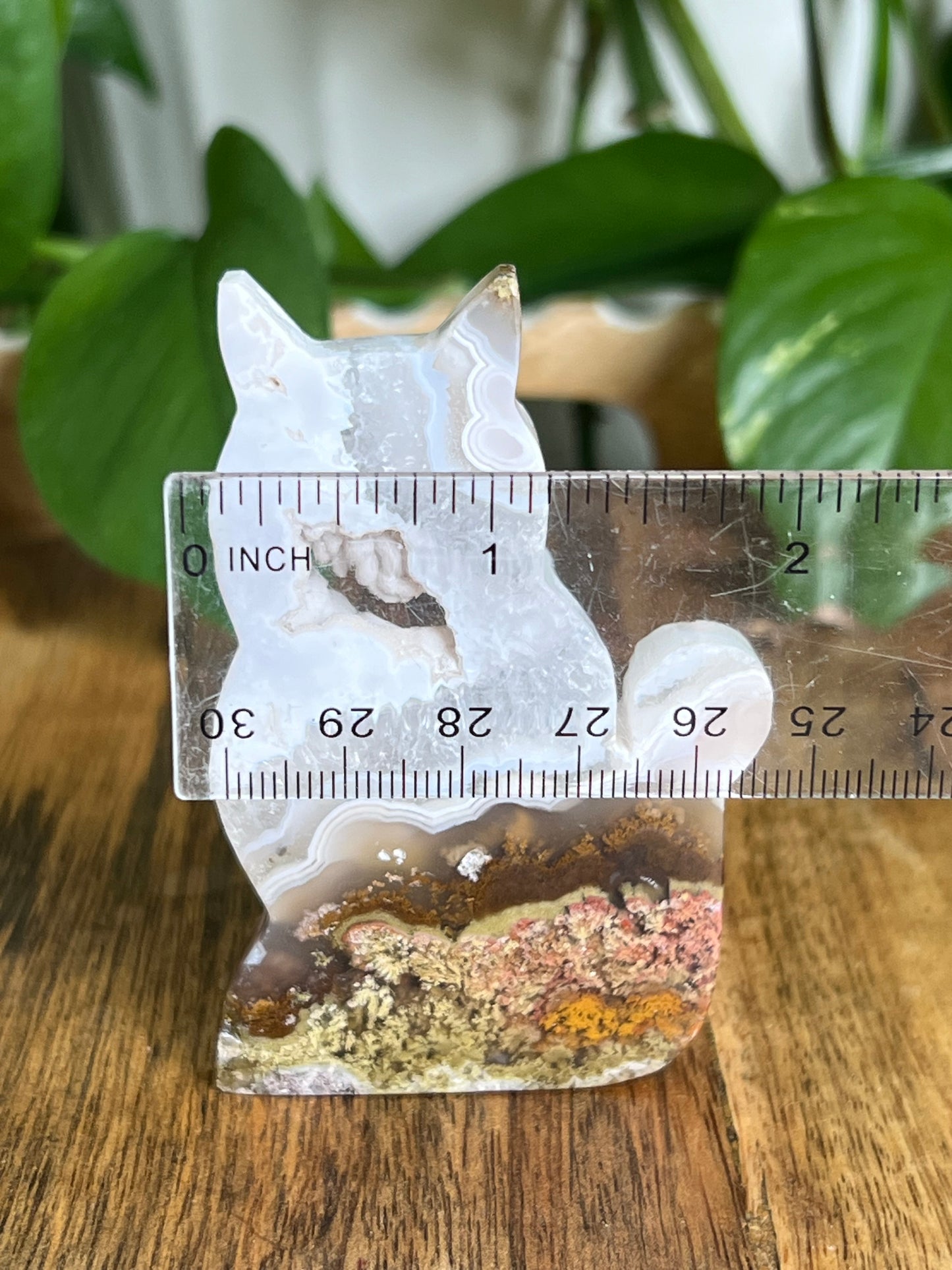 Scenic Moss Agate Cat HQ