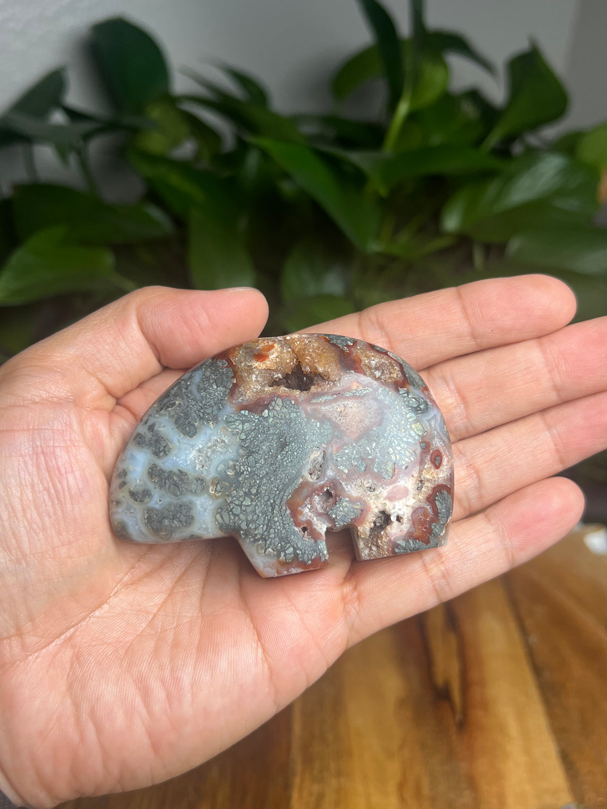 Marcasite Bear: TV