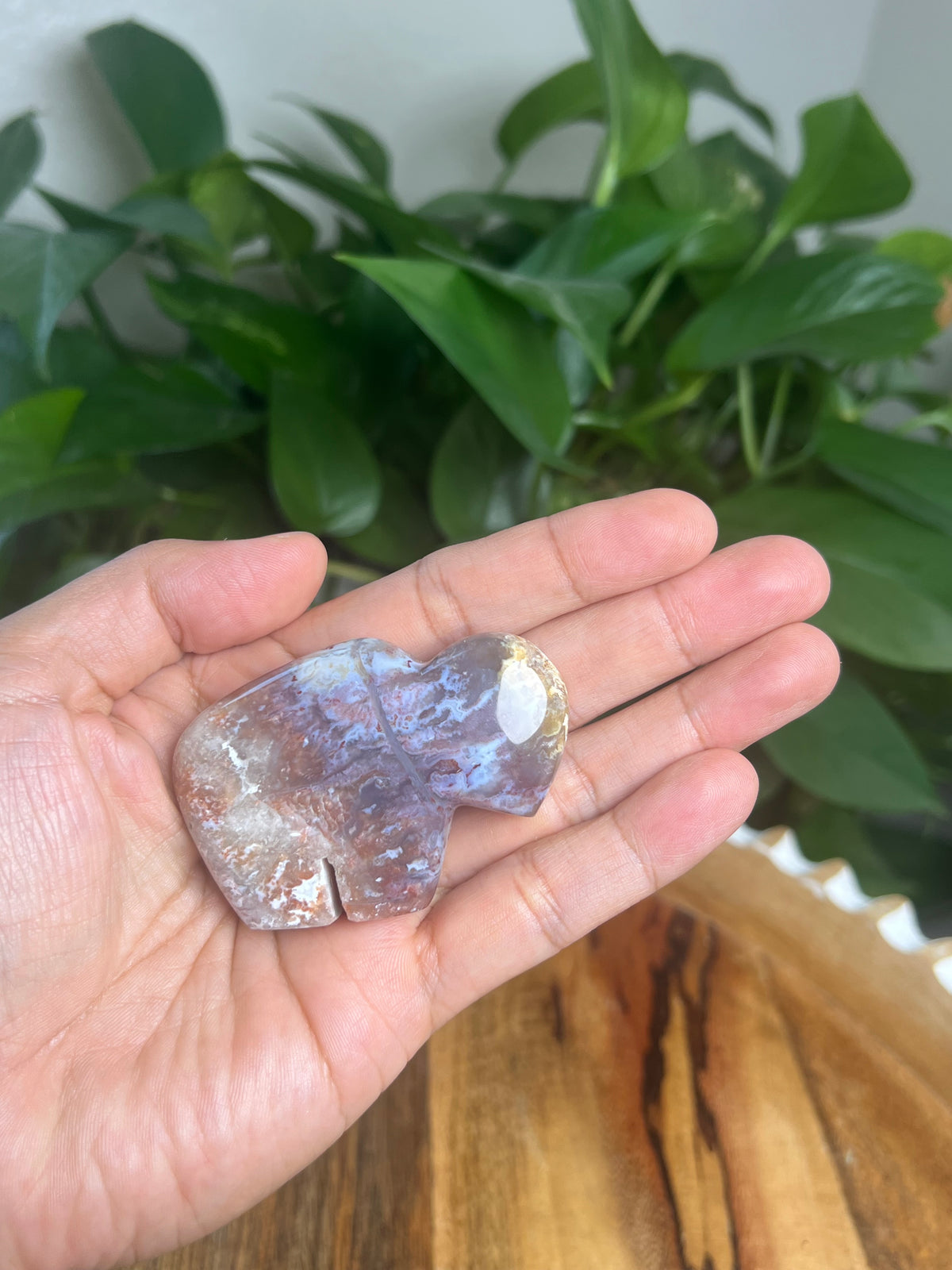 Sumatra Plume Agate Mini Buffalo: DN
