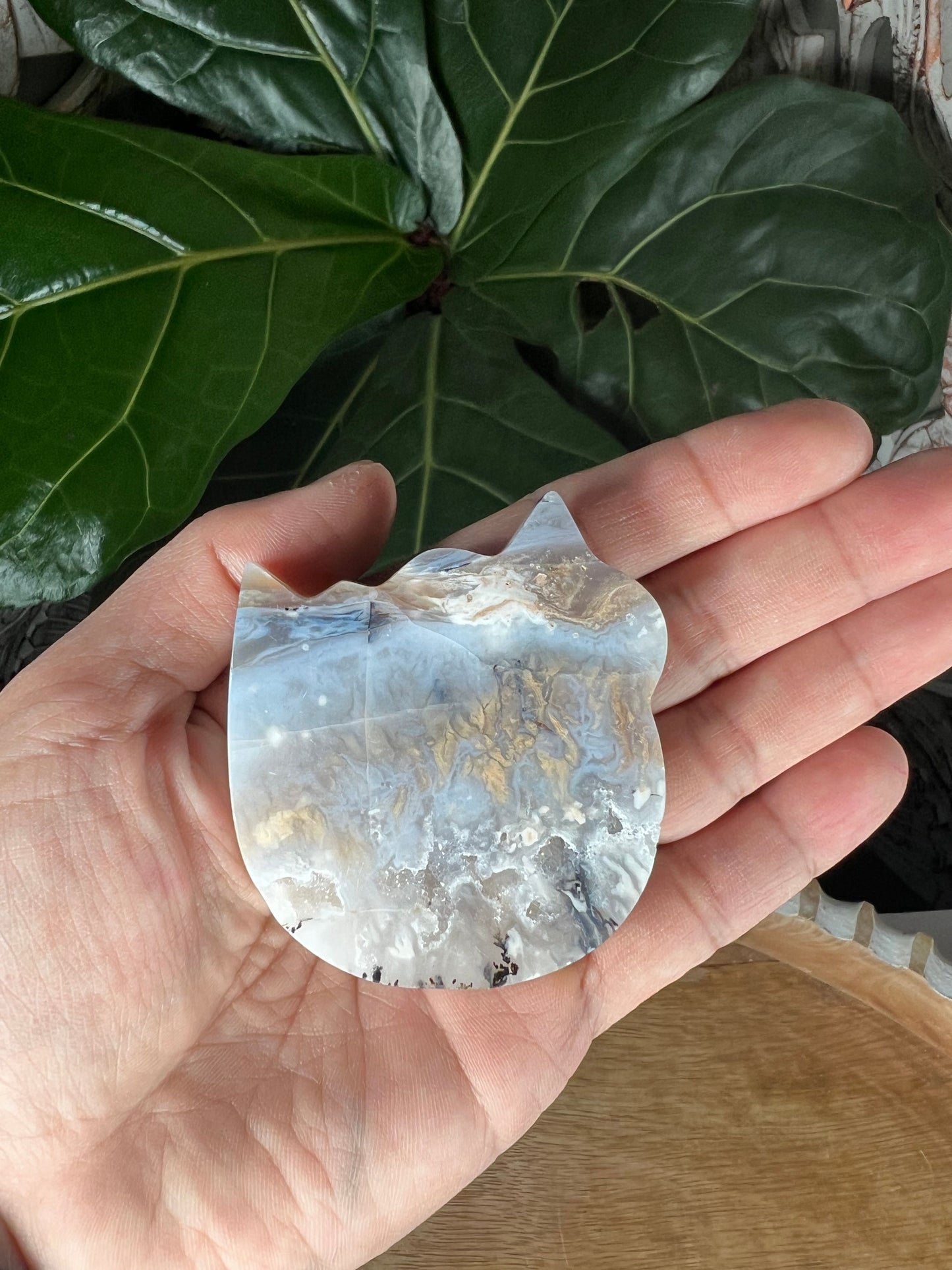 Tiger Dendritic Agate Cat