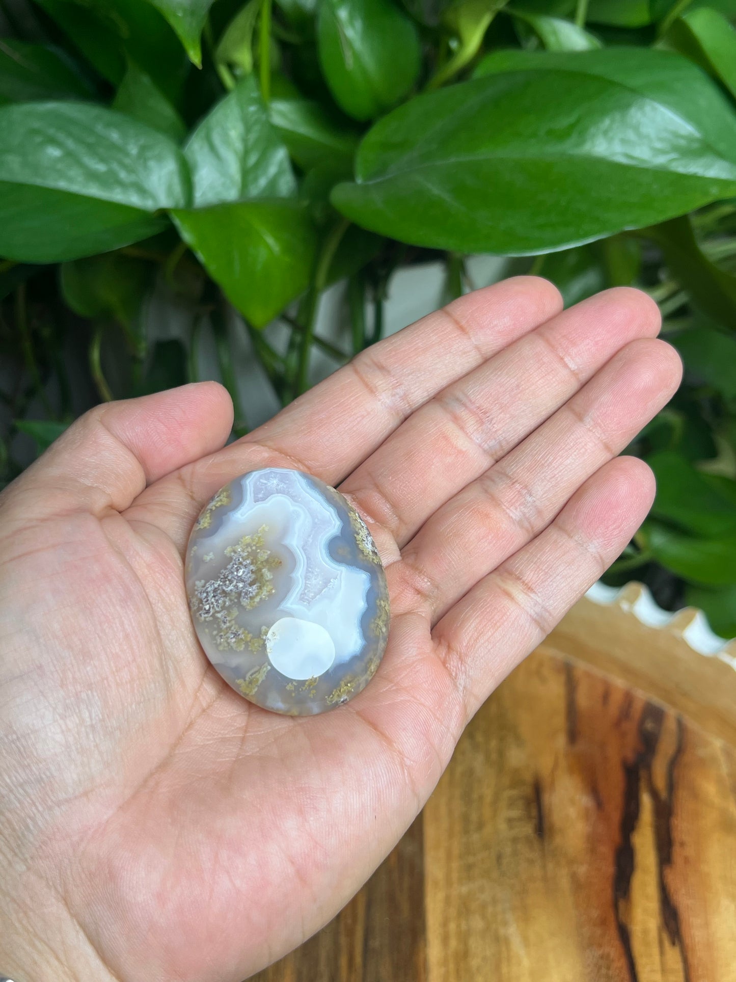 Scenic Moss Agate Palmstone: BA