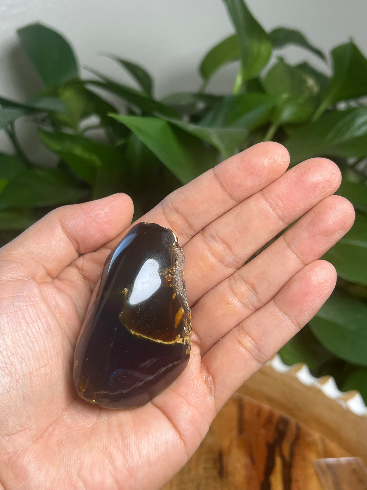 Blue Amber Freeform: Bi