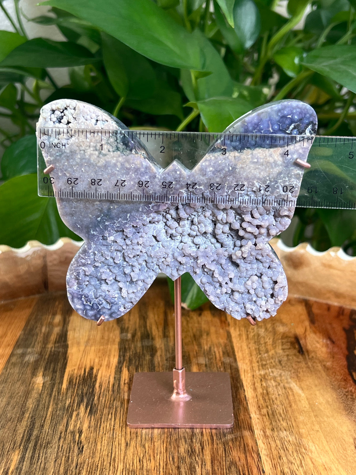 Grape Agate Butterfly: PX