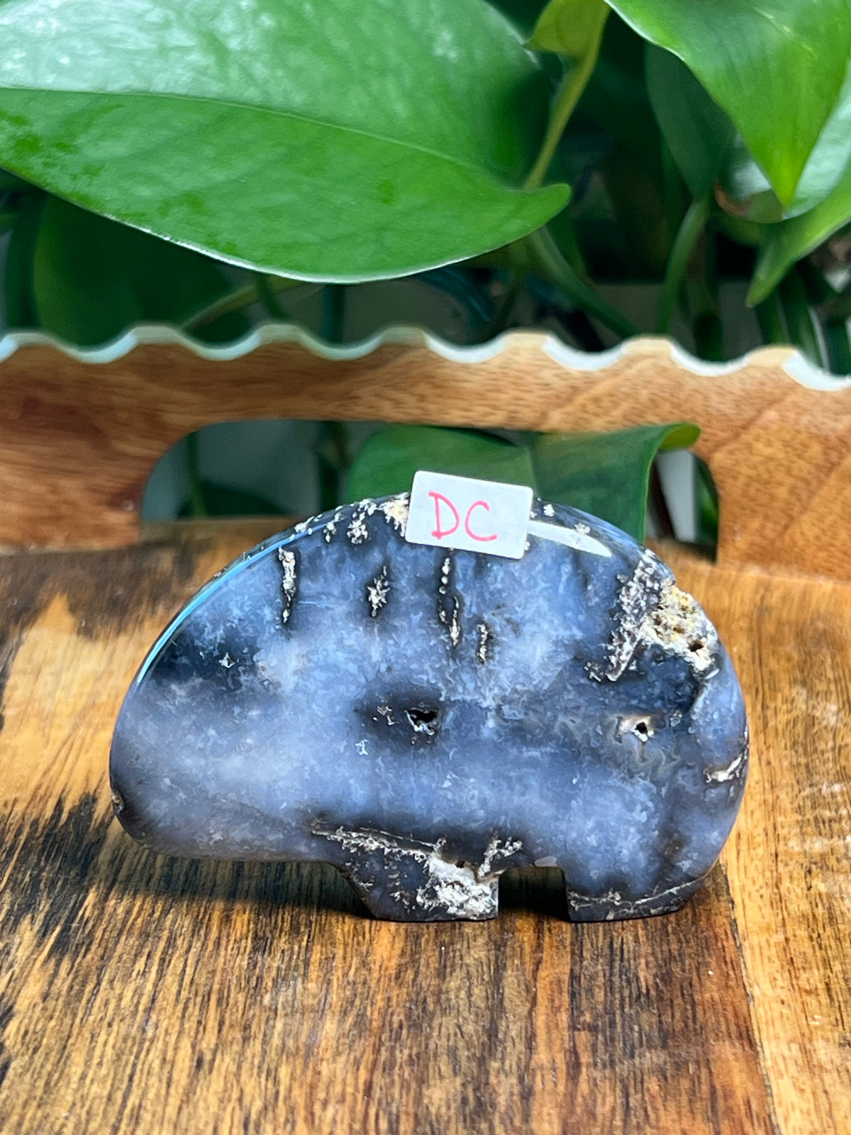 Blue Plume Agate Bears
