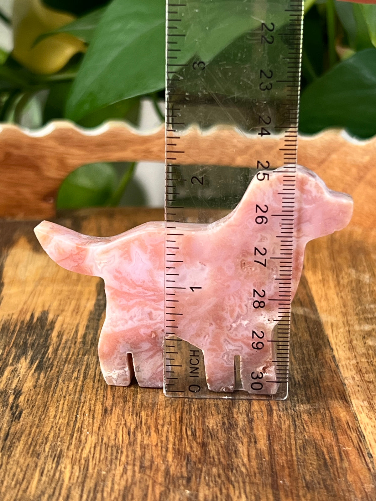Pink Carnelian Dogs