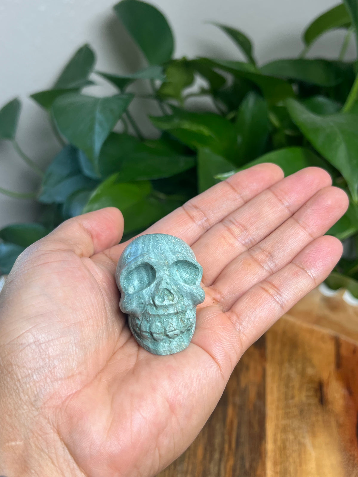Blue Green Jasper Mini Skull: H