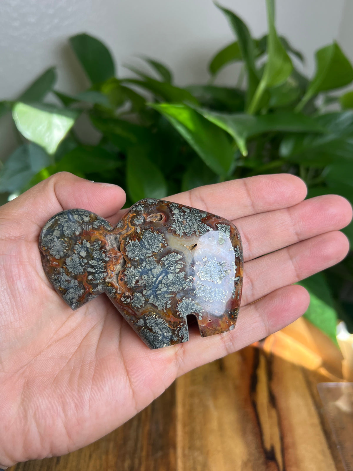 Marcasite Buffalo: CV