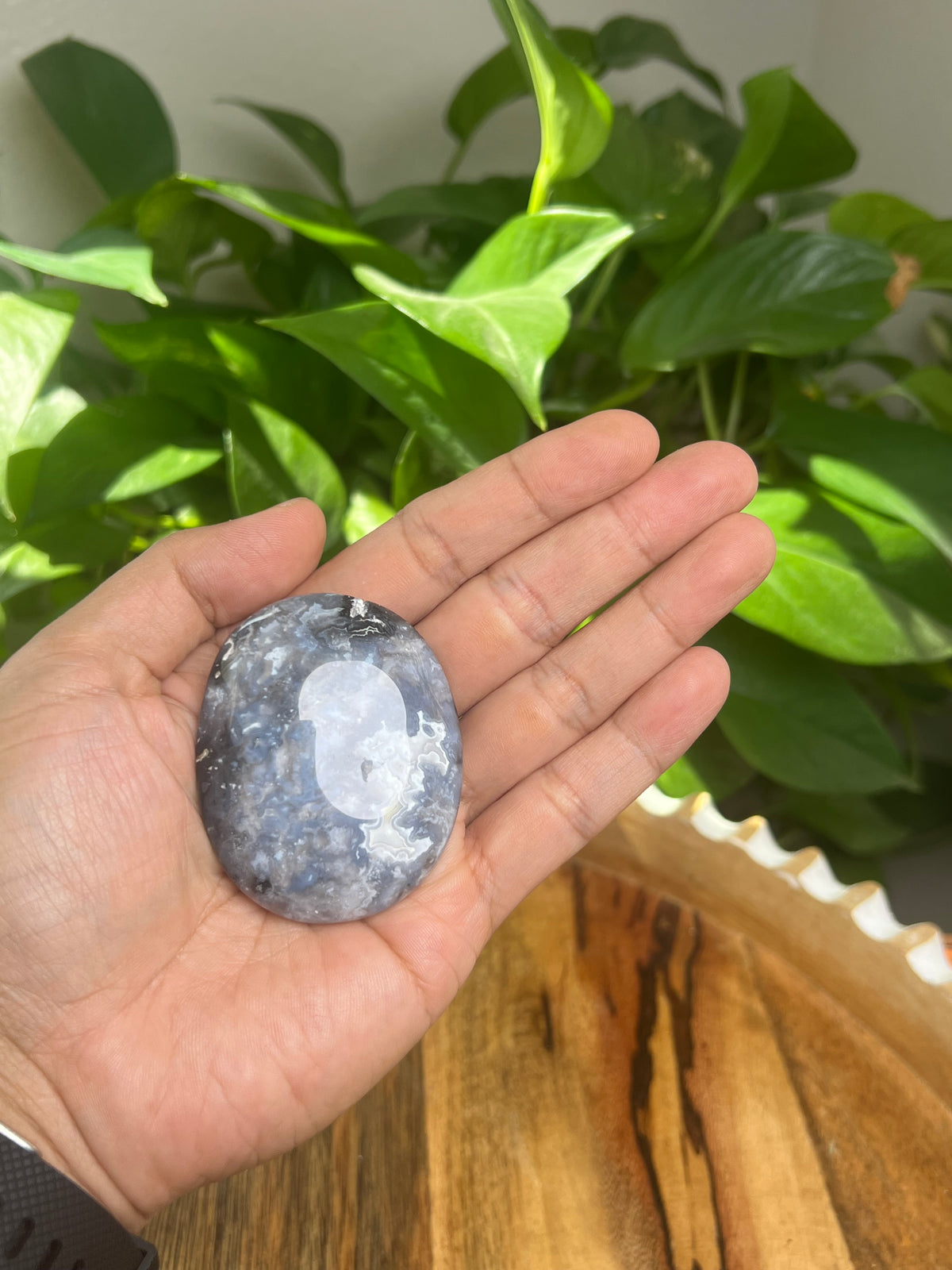 Blue Plume Agate Palmstone: BK