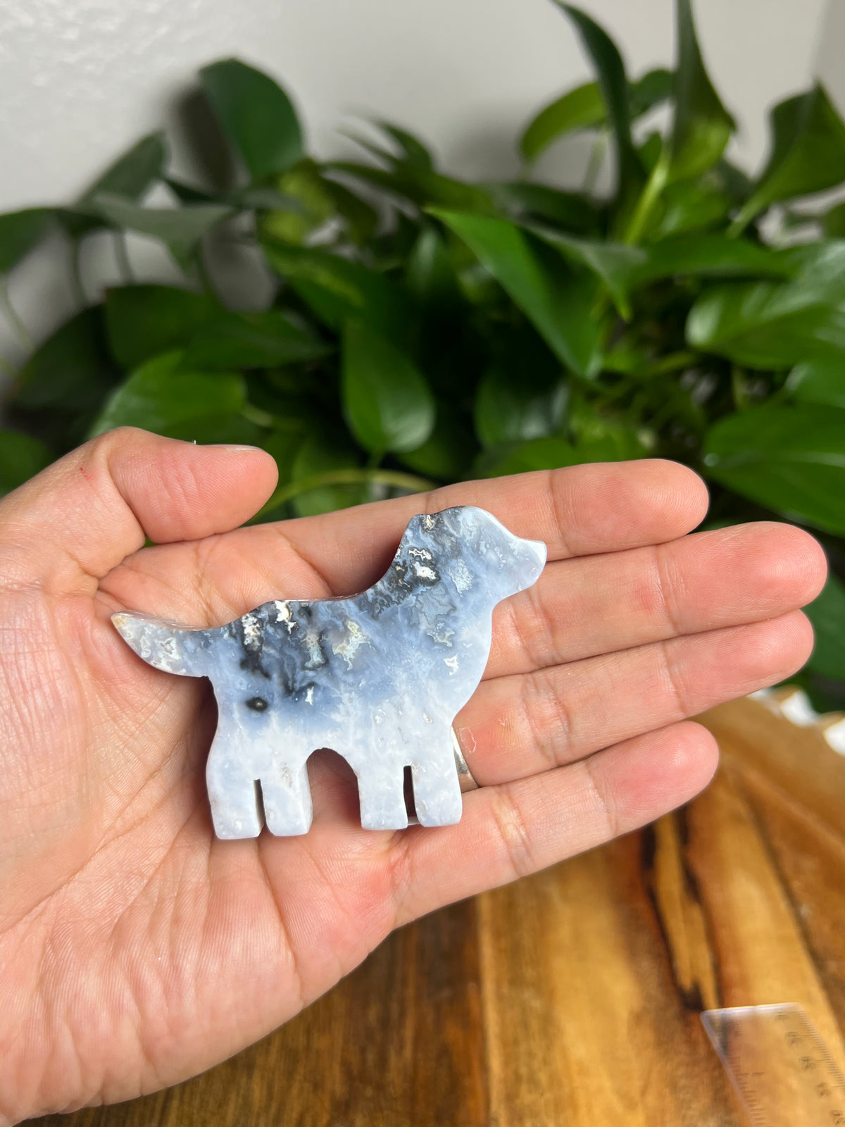 Blue Plume Agate Dog: Bi