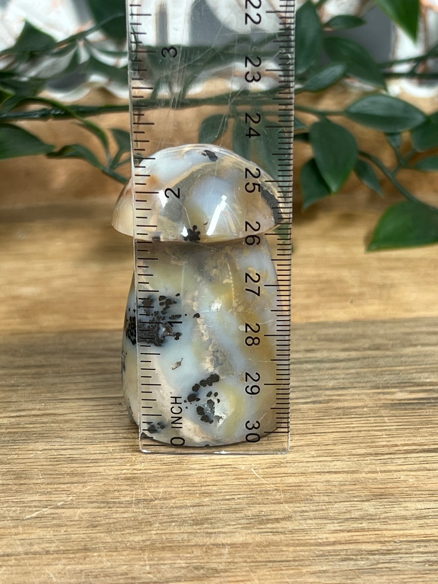 Dendritic Tiger Agate Mushroom