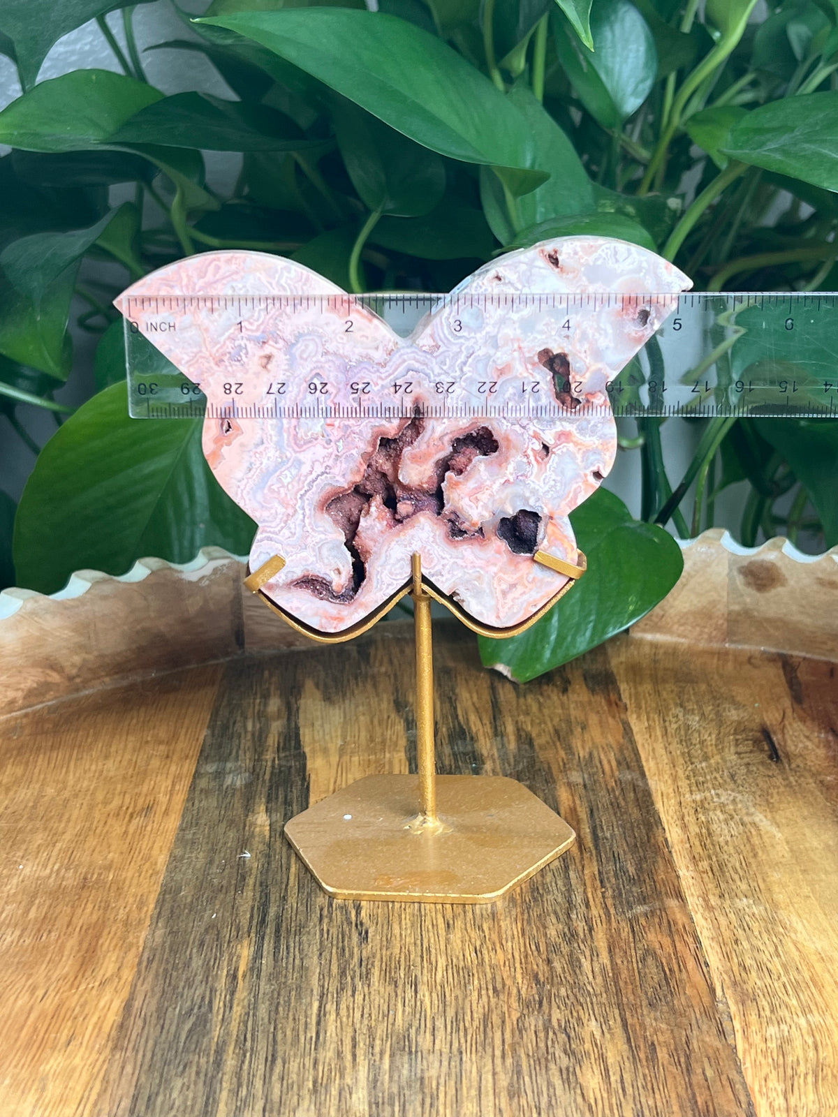 Crazy Lace Agate Butterfly: XE