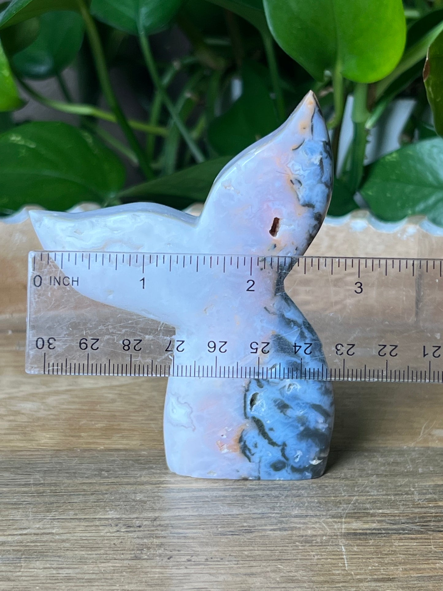 Rainbow Plume Agate Tail: RG