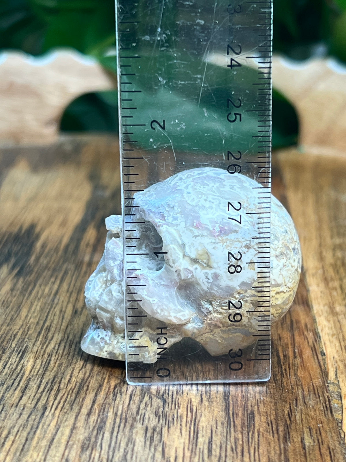 Sumatra Plume Agate Mini Skull: D