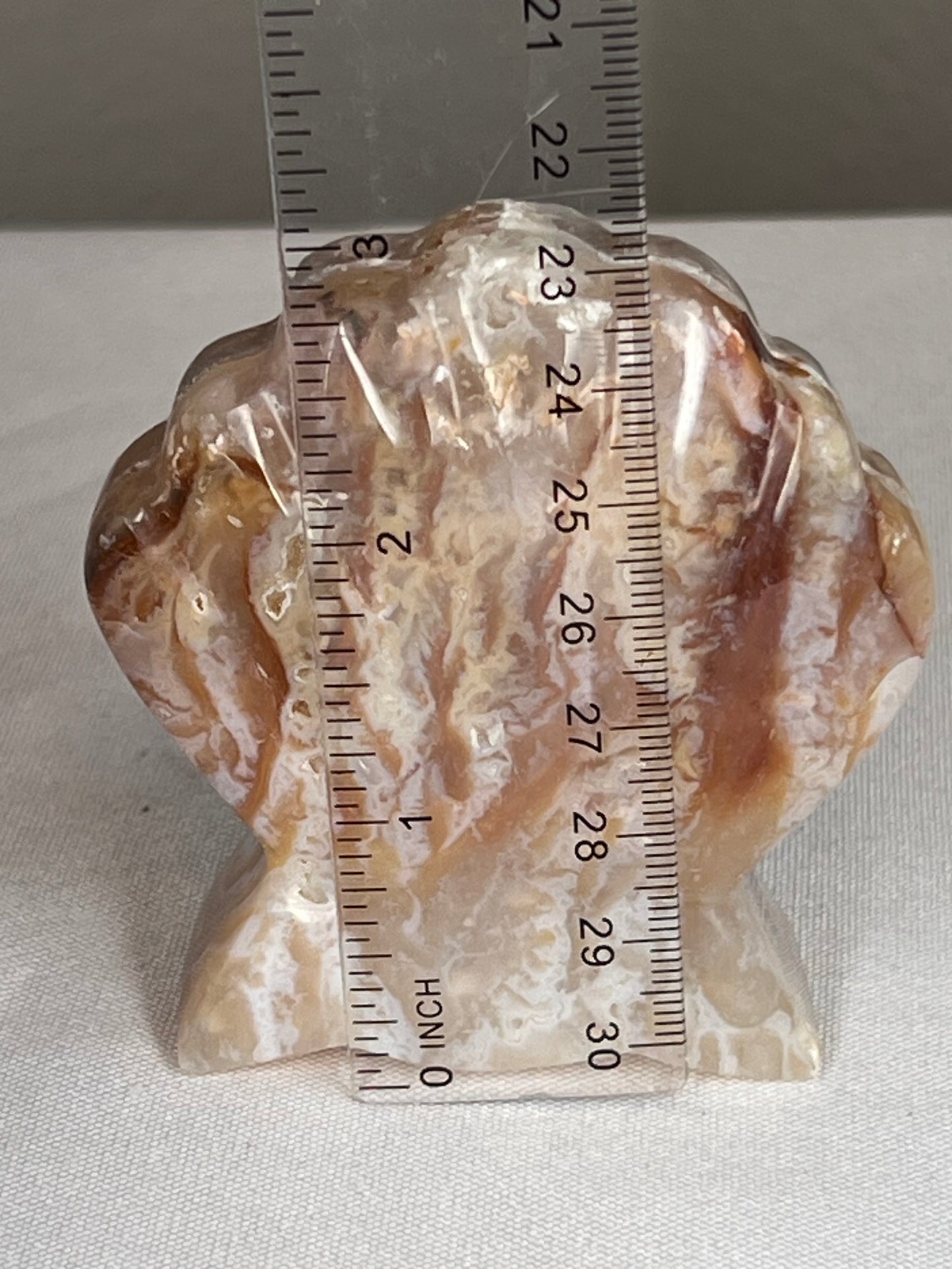 Rainbow Plume Agate Shell