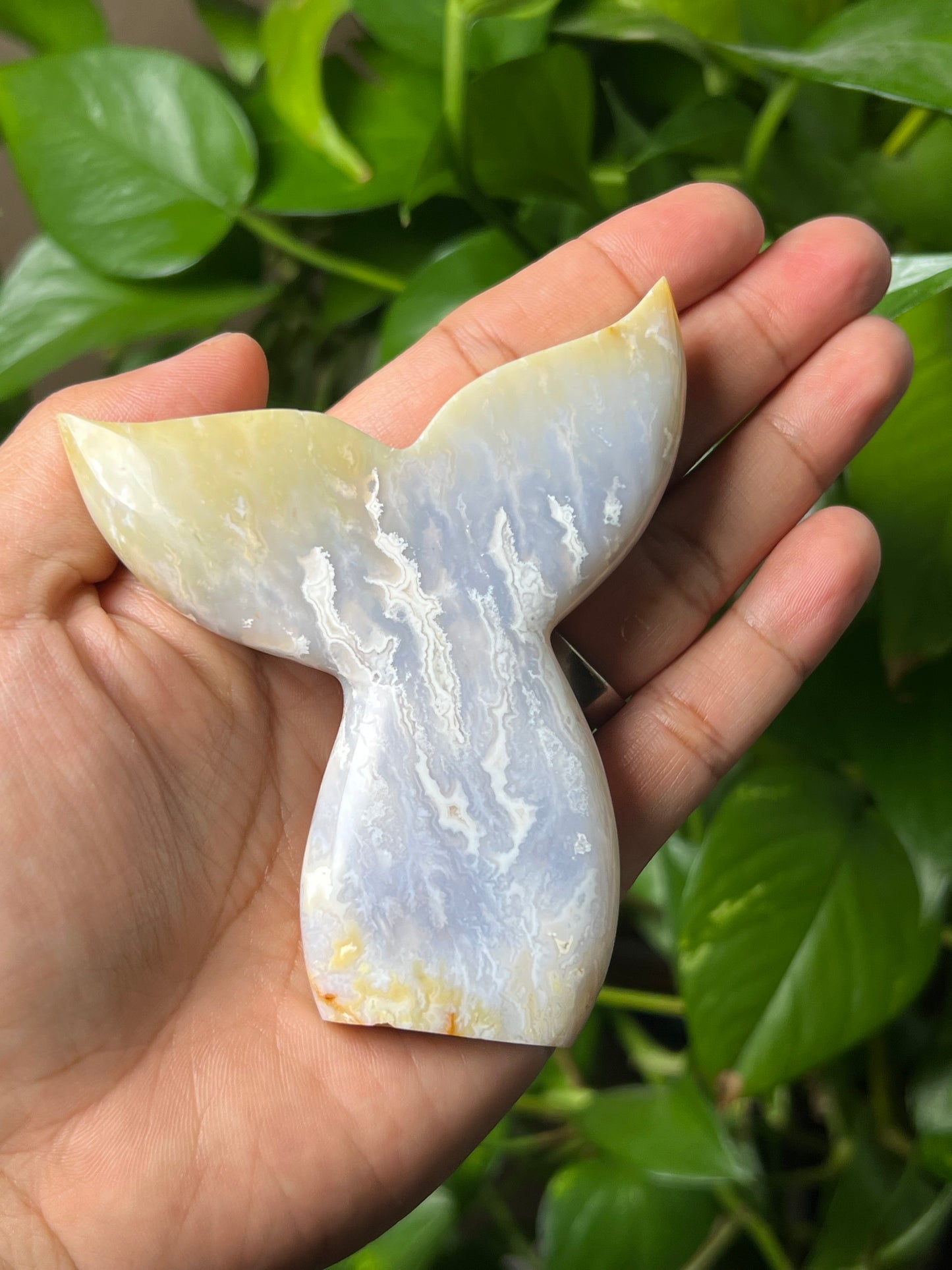 Winter Plume Agate Tail