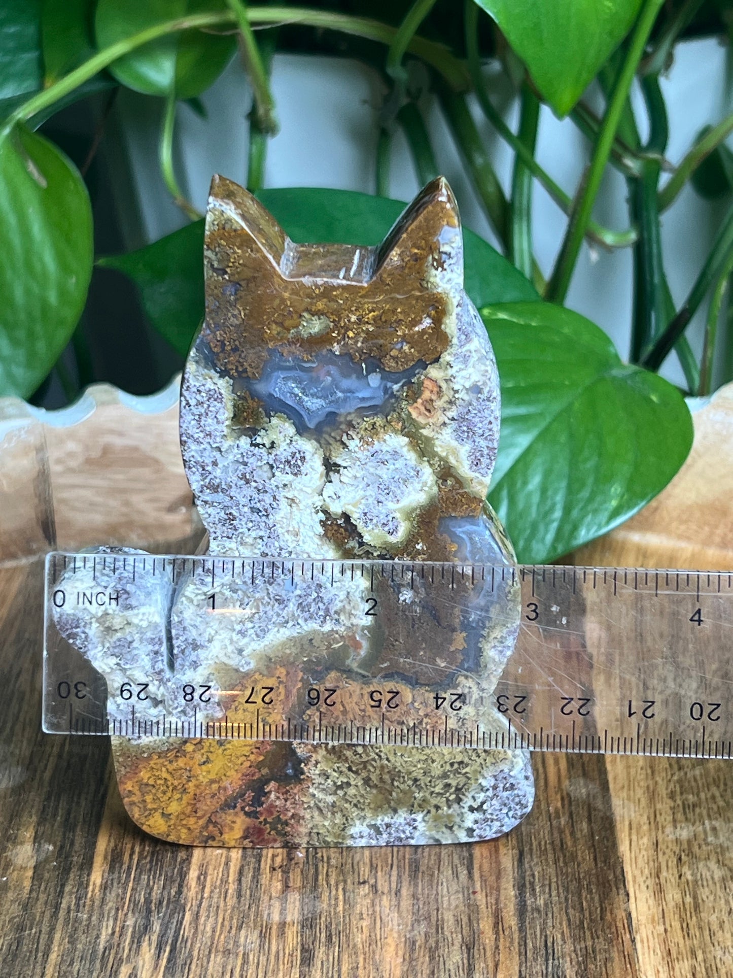 Scenic Moss Agate Cat: AC