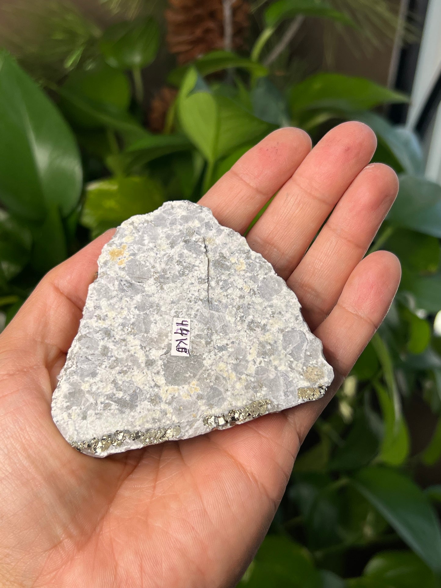 Rainbow Pyrite Quartz