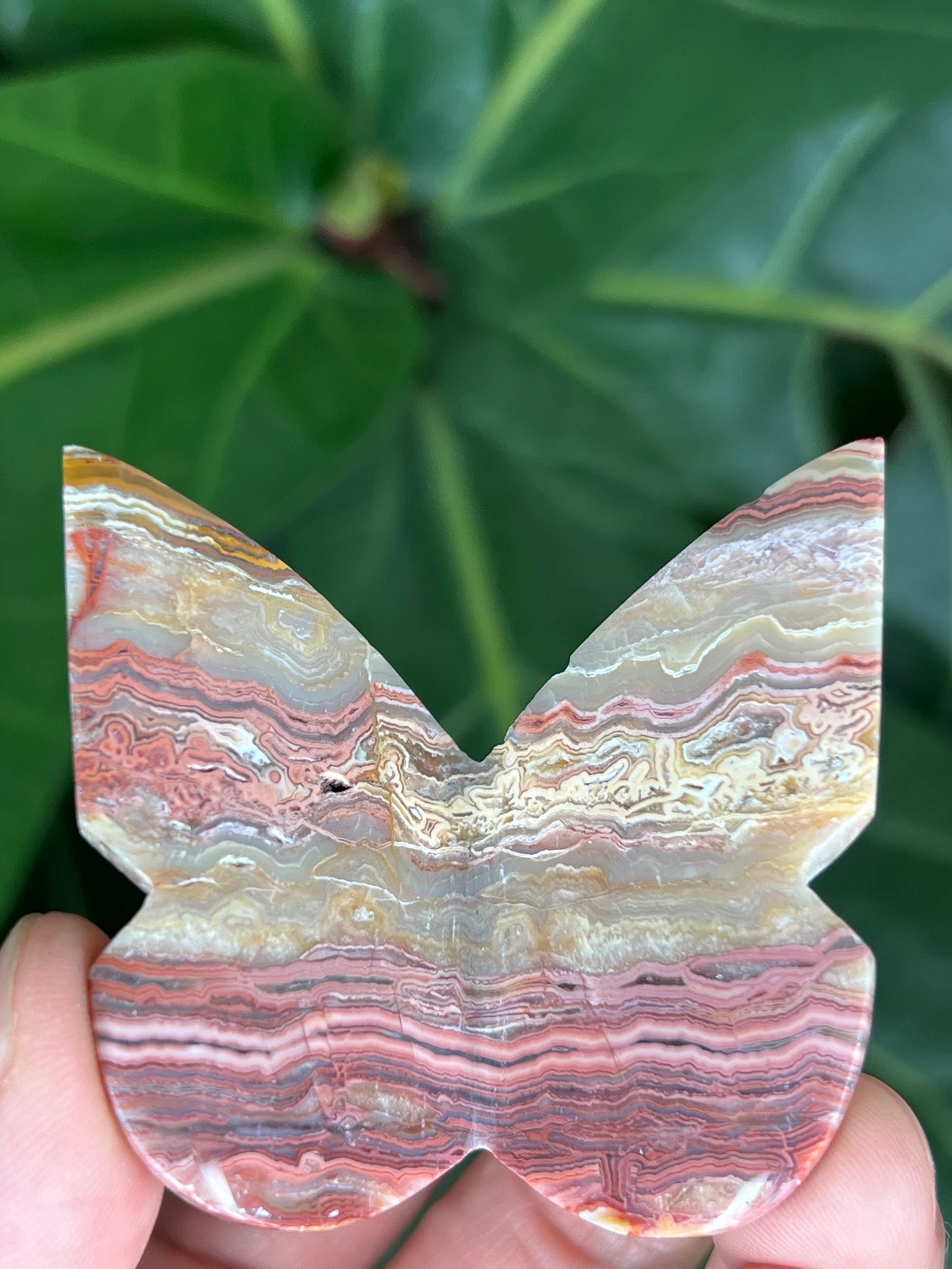 3D Butterfly Crazy Lace Agate