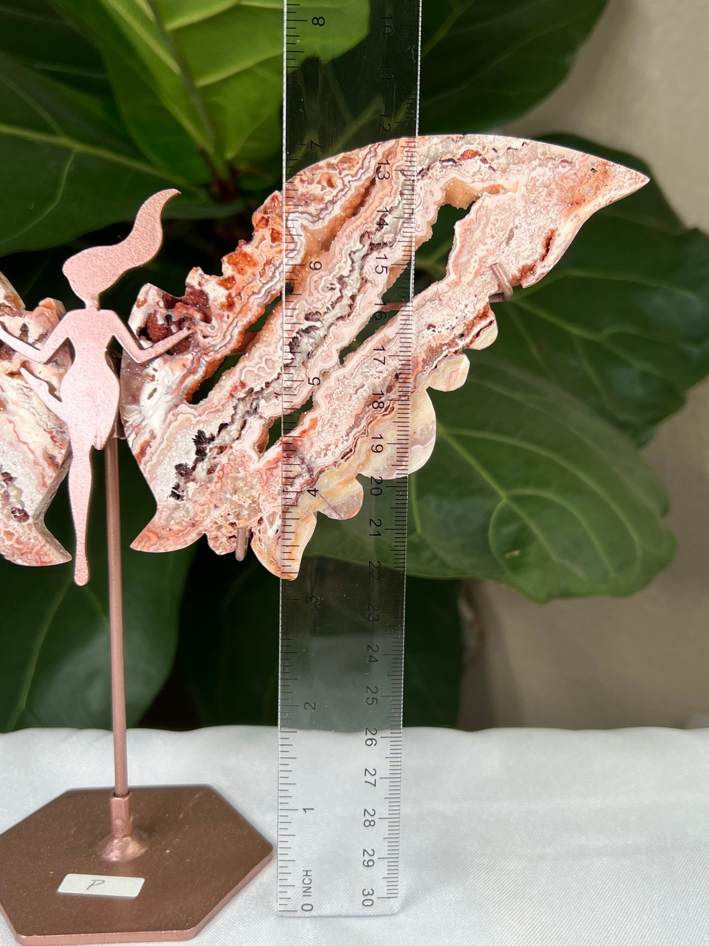 Crazy Lace Agate Wings