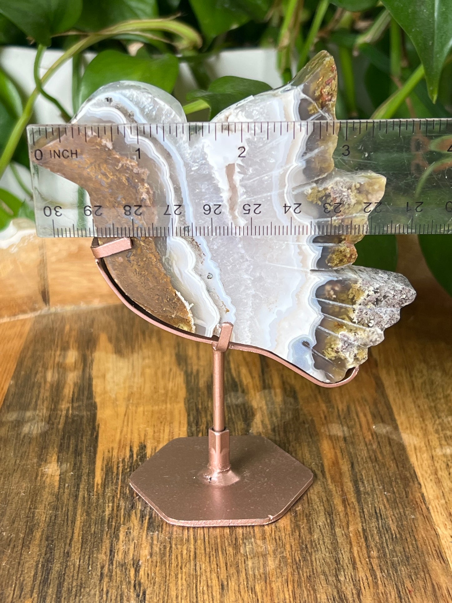 Scenic Moss Agate Bird