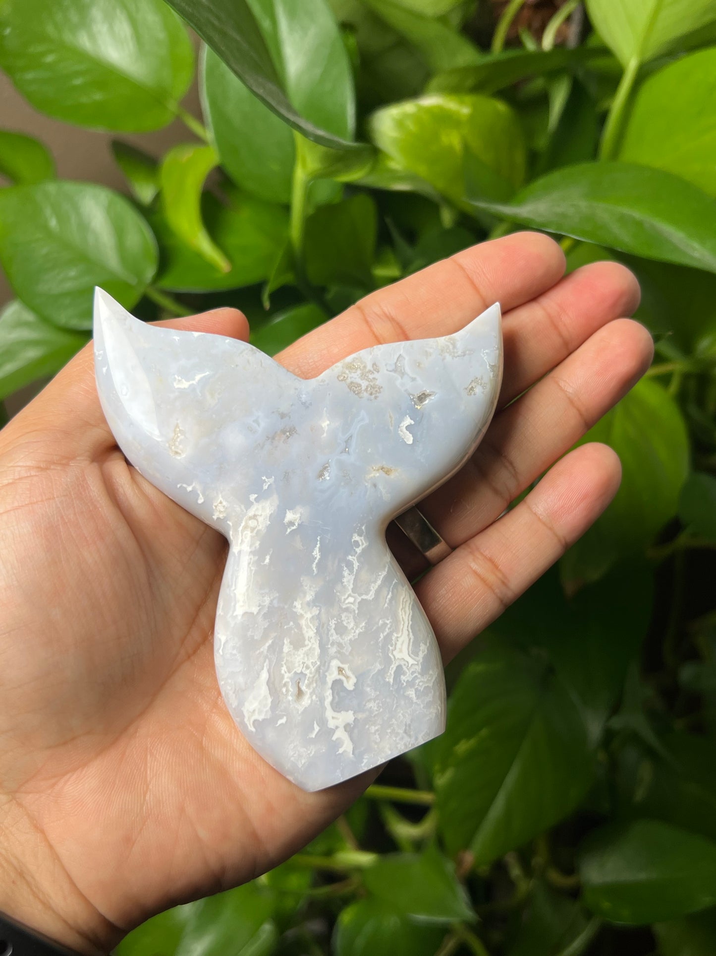 Winter Plume Agate Tail