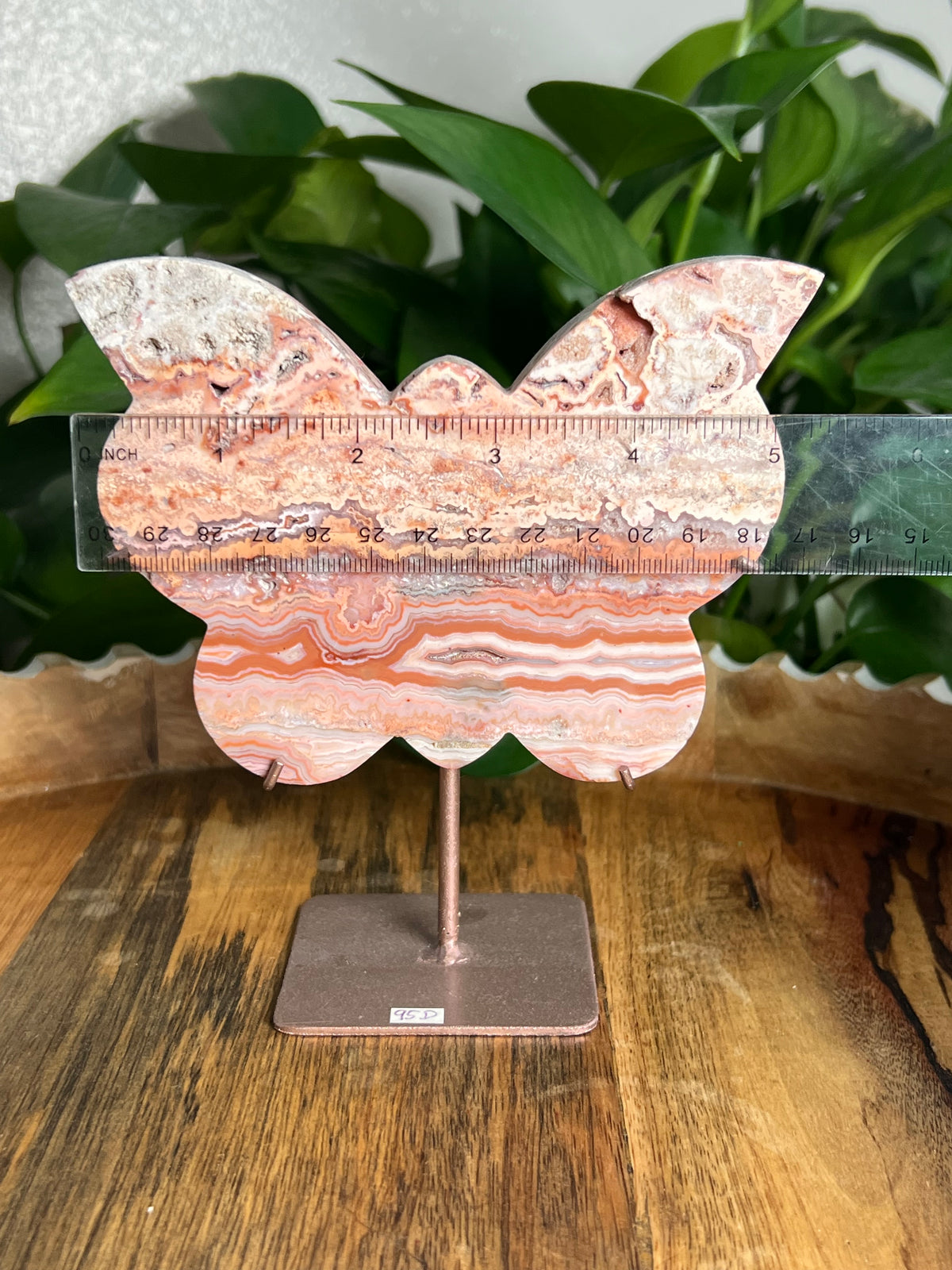 Crazy Lace Agate Butterfly: D