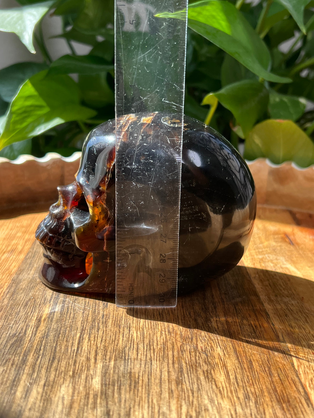 Blue Amber Skull: NB