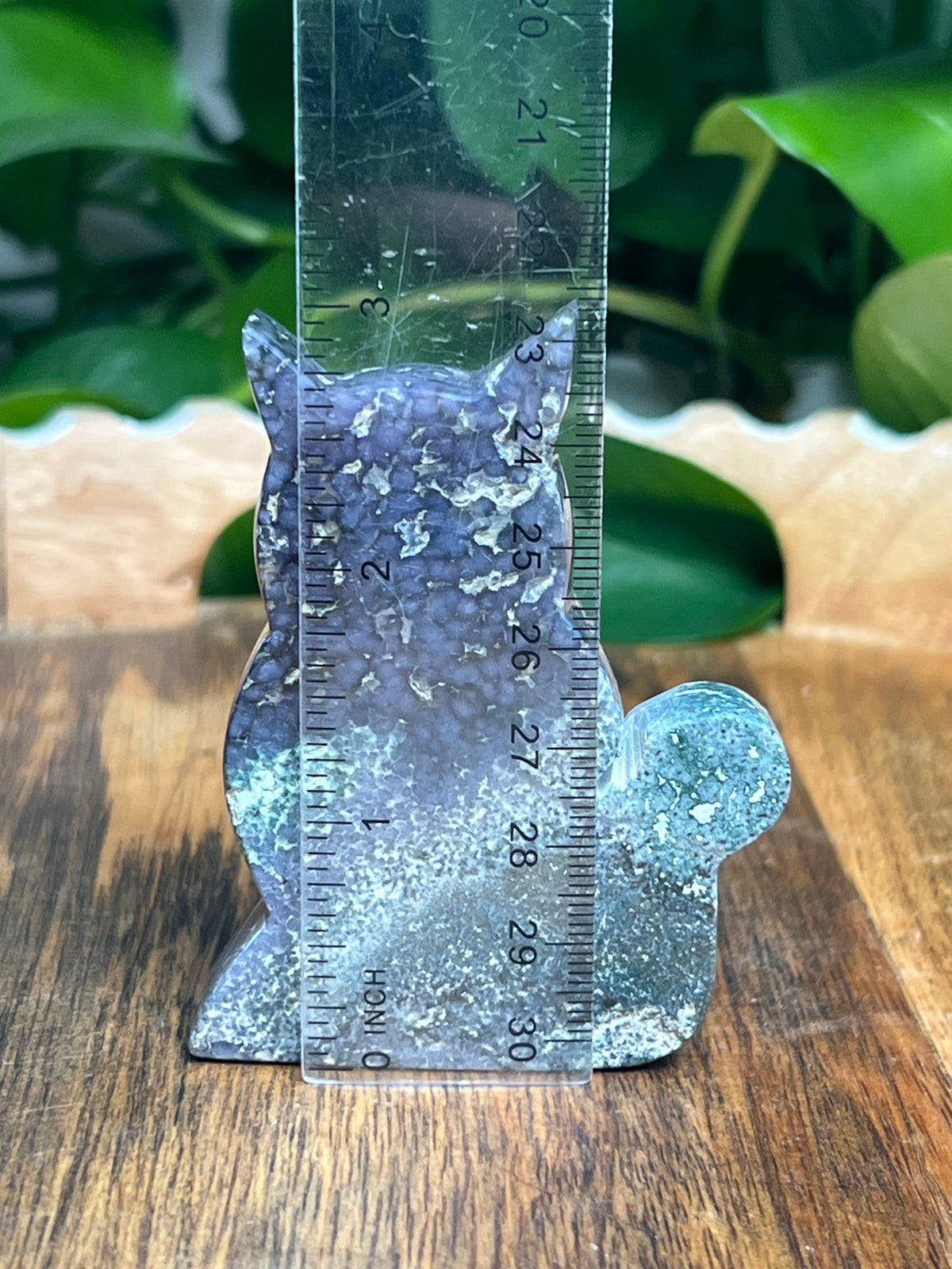 Grape Agate Cat: NQ