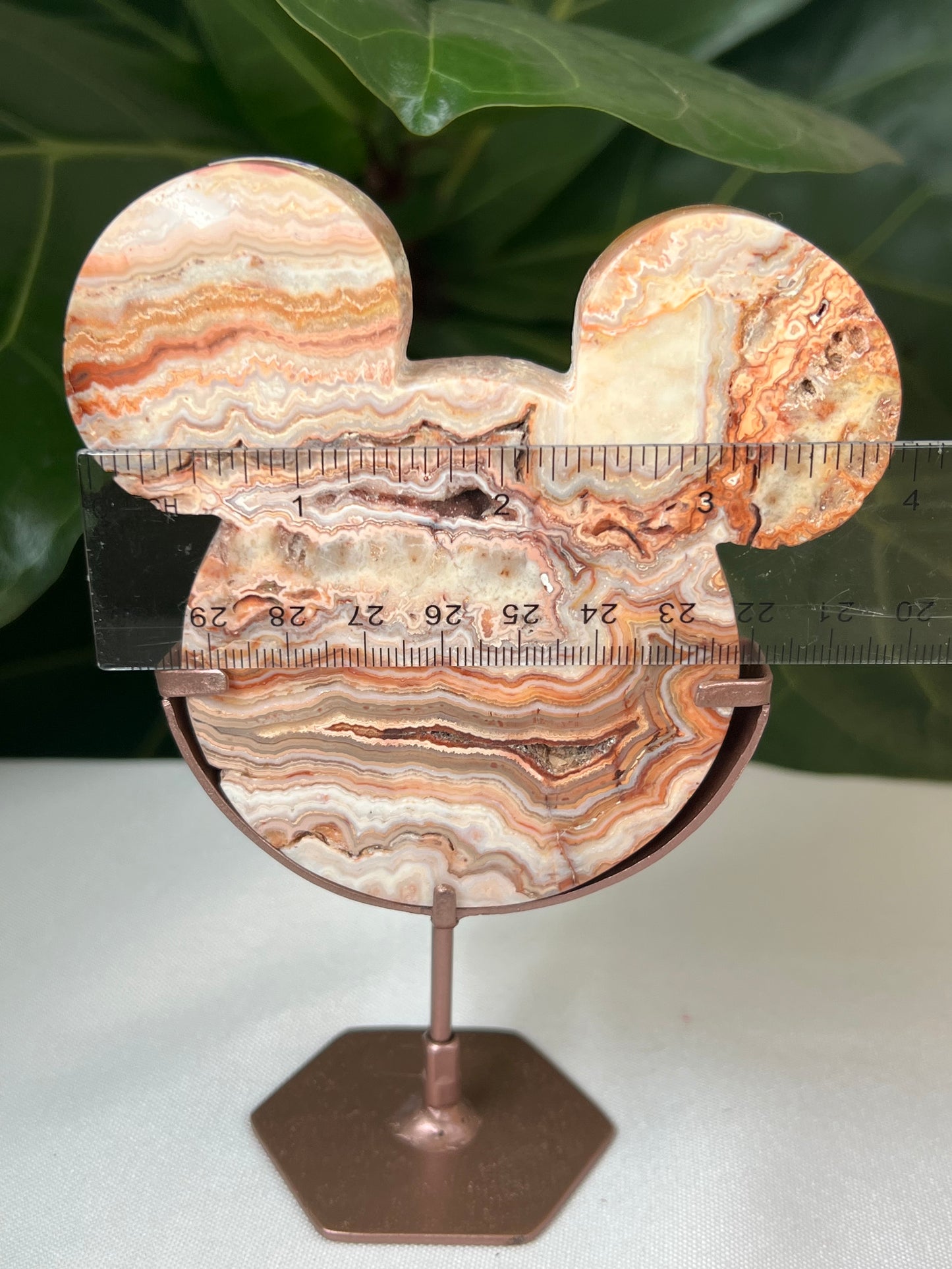 Crazy Lace Agate Bear Head