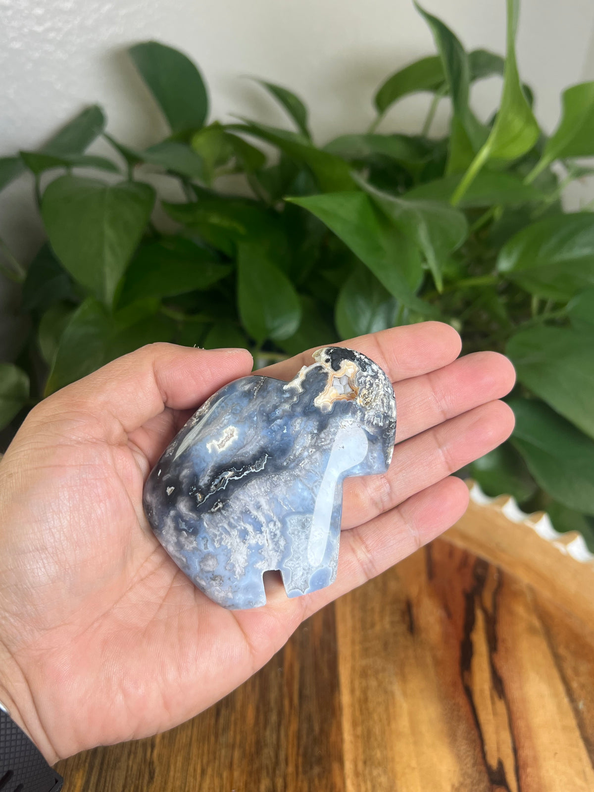 Blue Plume Agate Buffalo: BE