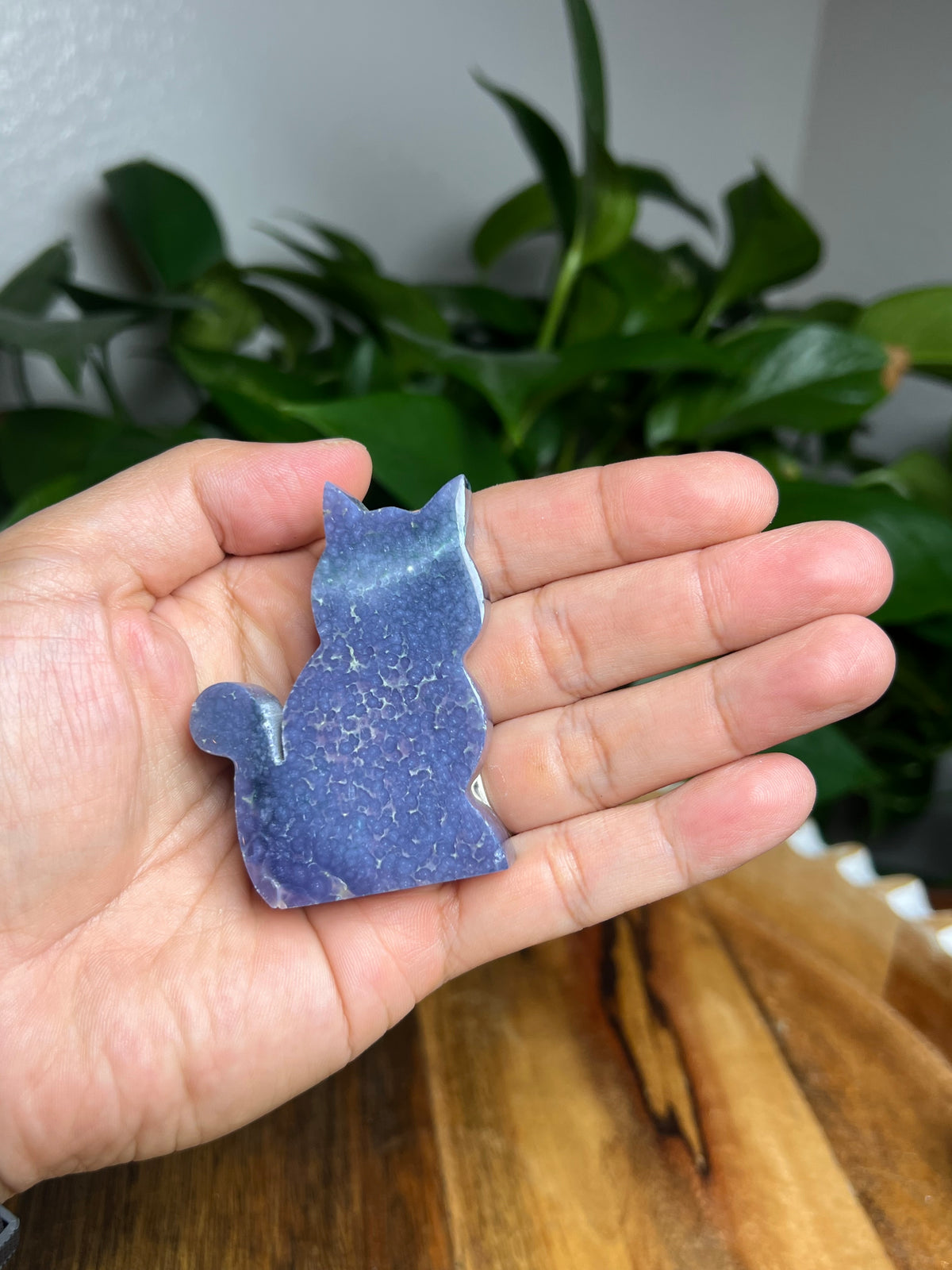 Grape Agate Mini Cat: BD