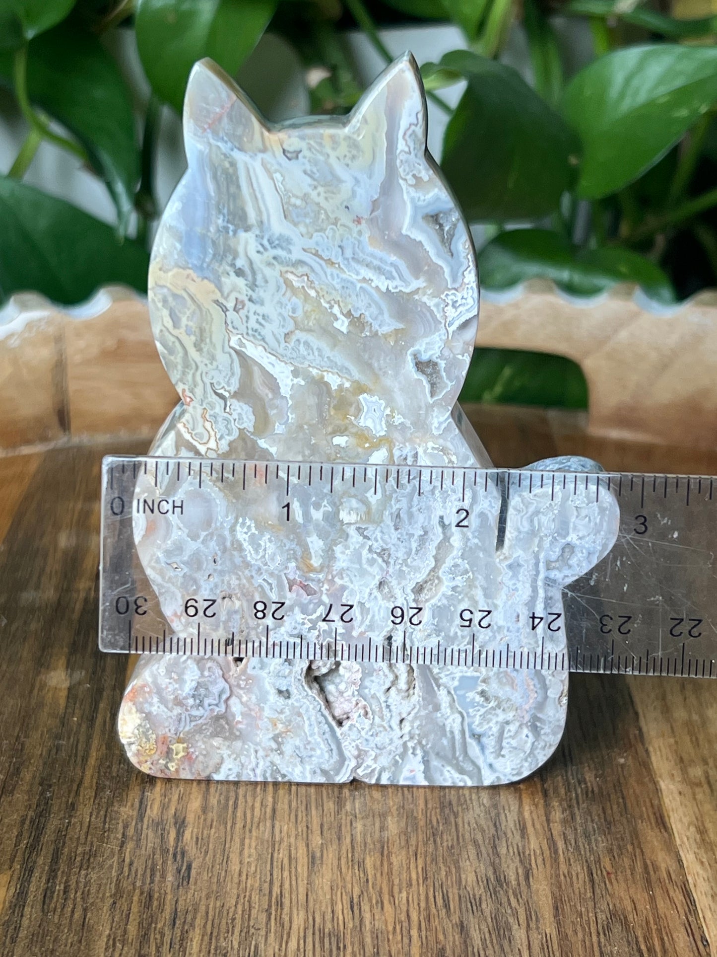 Sumatra Plume Agate Cat