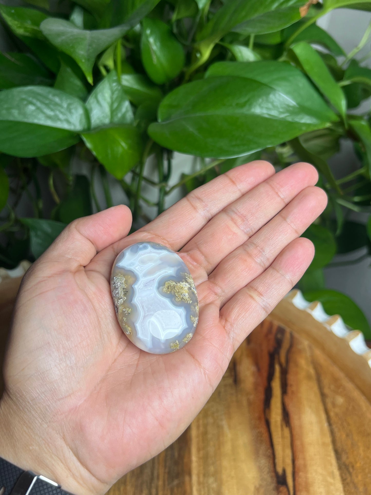 Scenic Moss Agate Palmstone: BZ