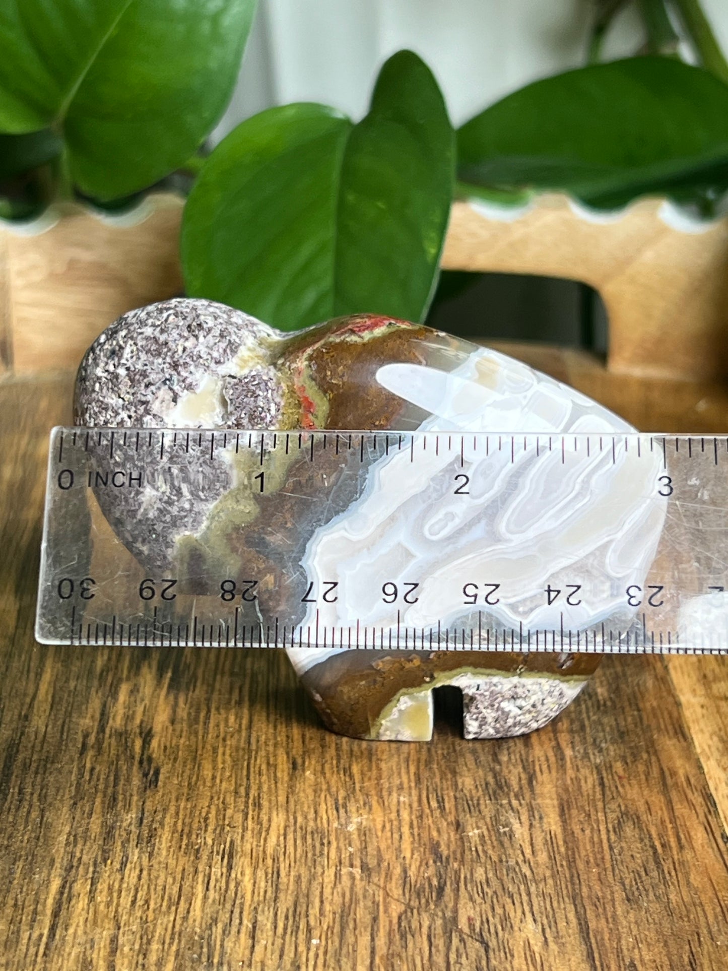 Scenic Moss Agate Buffalo N