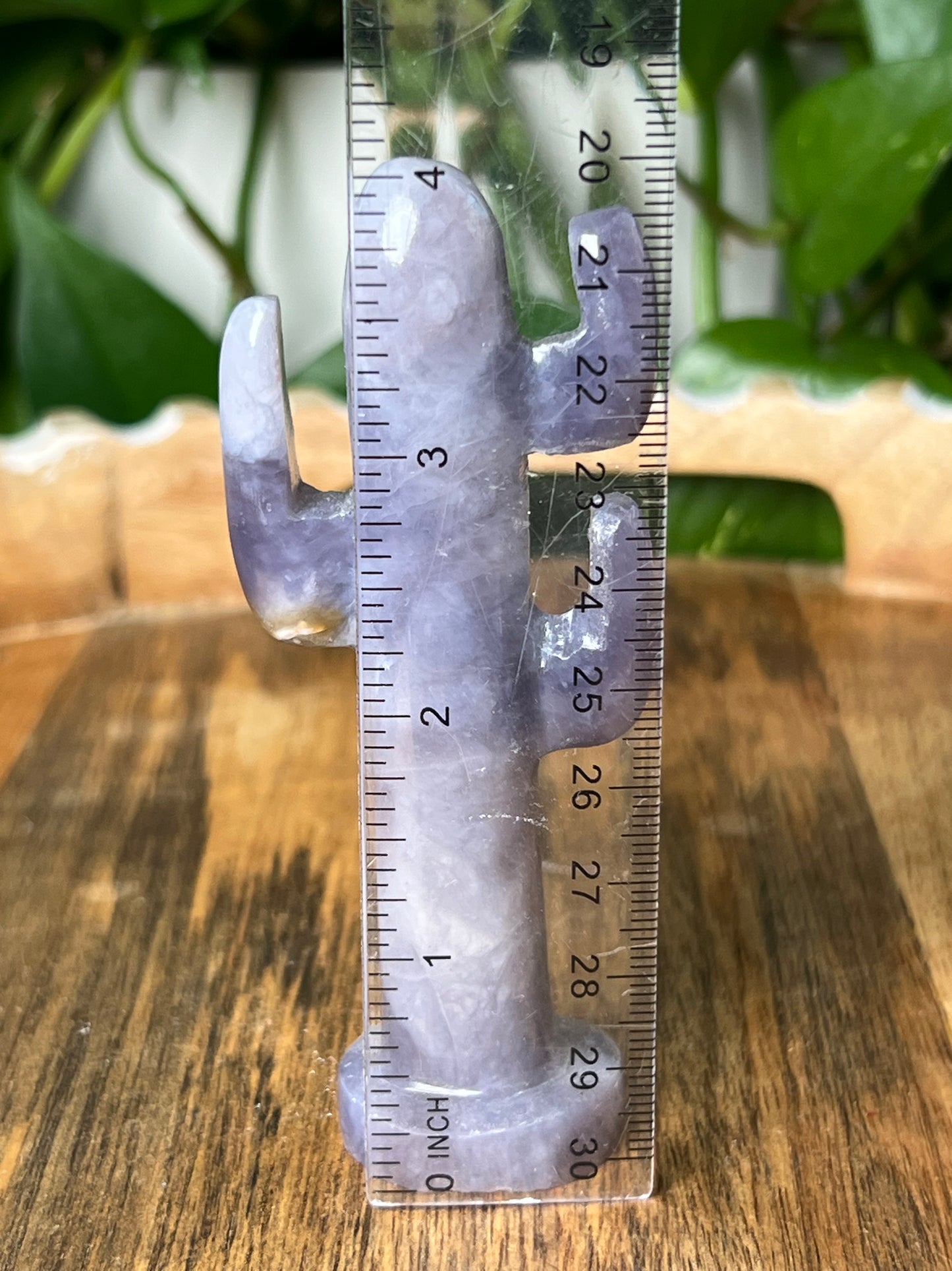 Purple Chalcedony Cactus