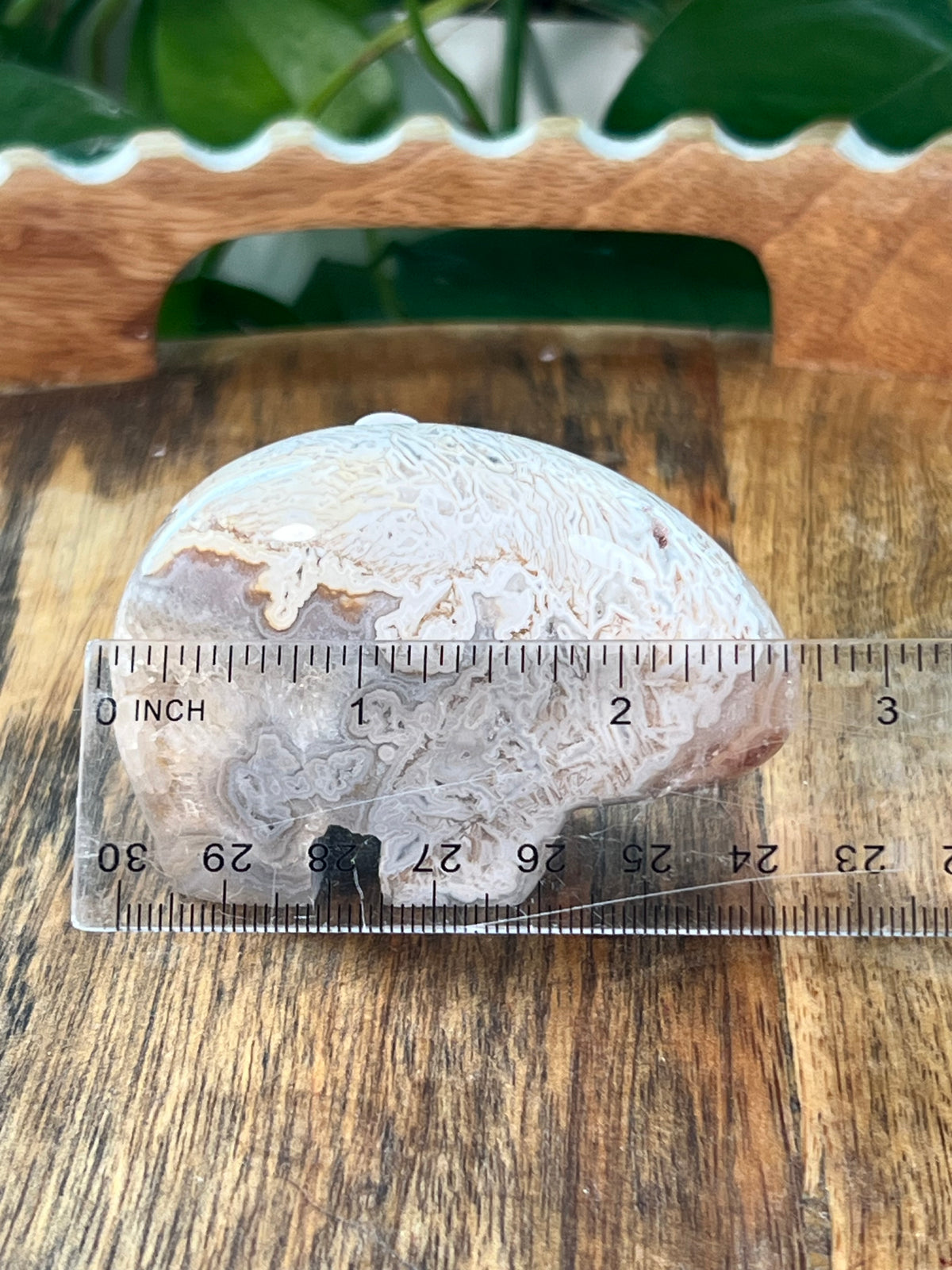 Tube Agate Bear: Ni