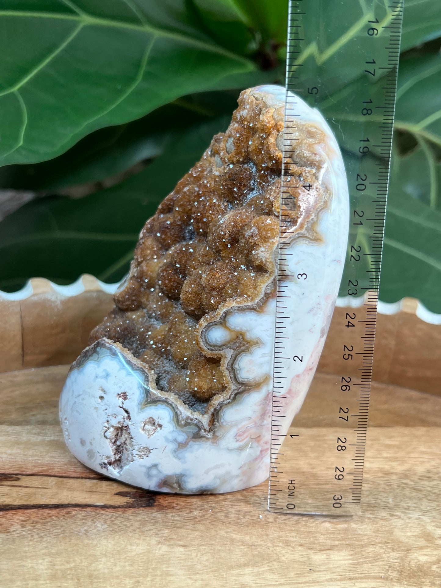Pink Plume Agate FreeForm
