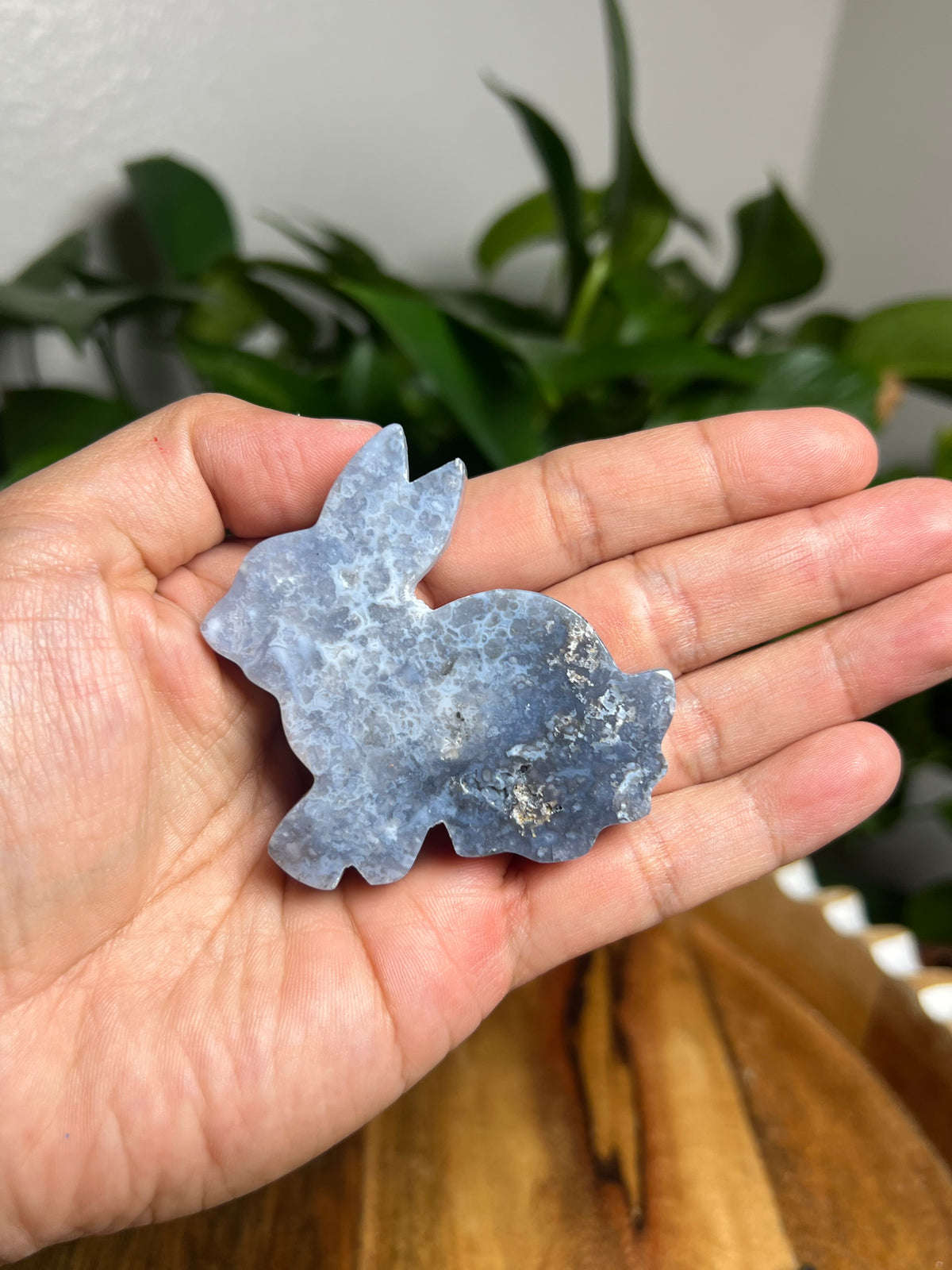 Blue Plume Agate Bunny: PC