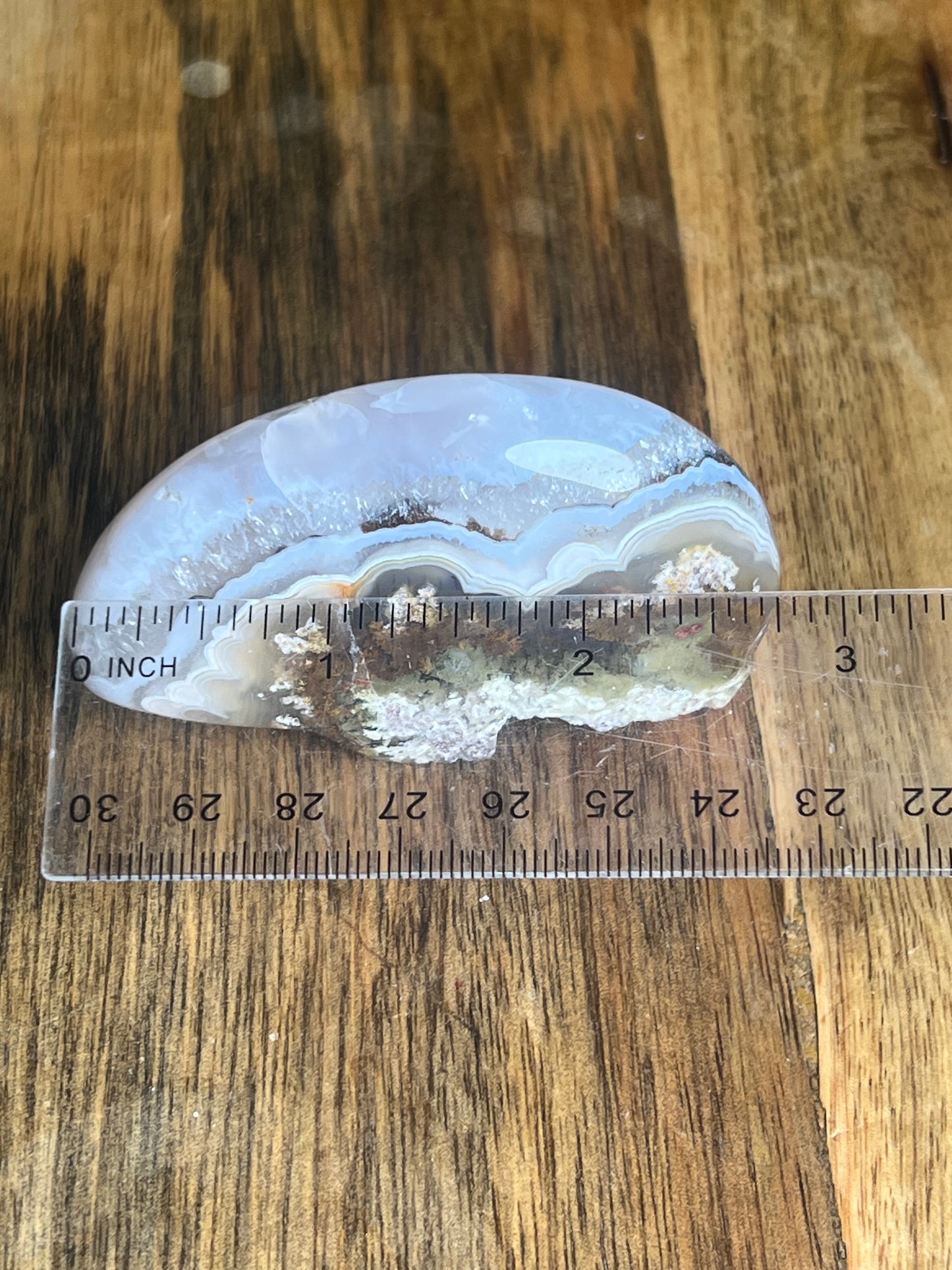 Scenic Moss Agate Bear BG