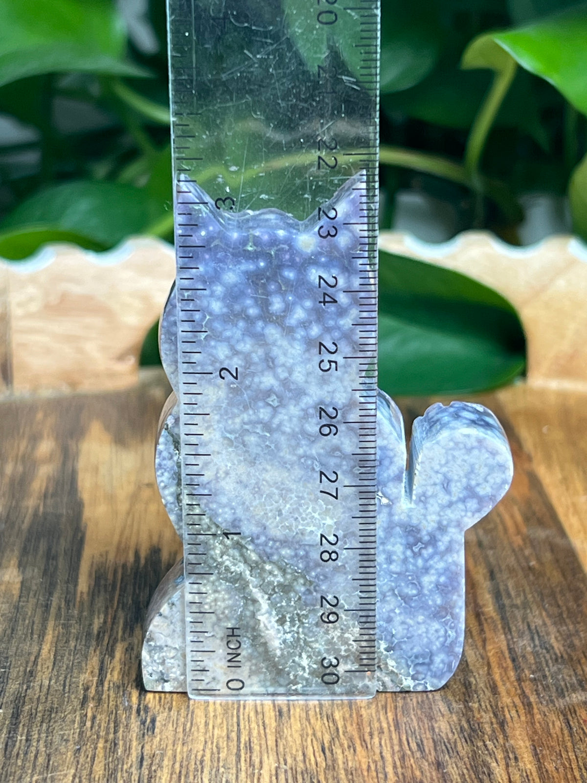 Grape Agate Cat: KS